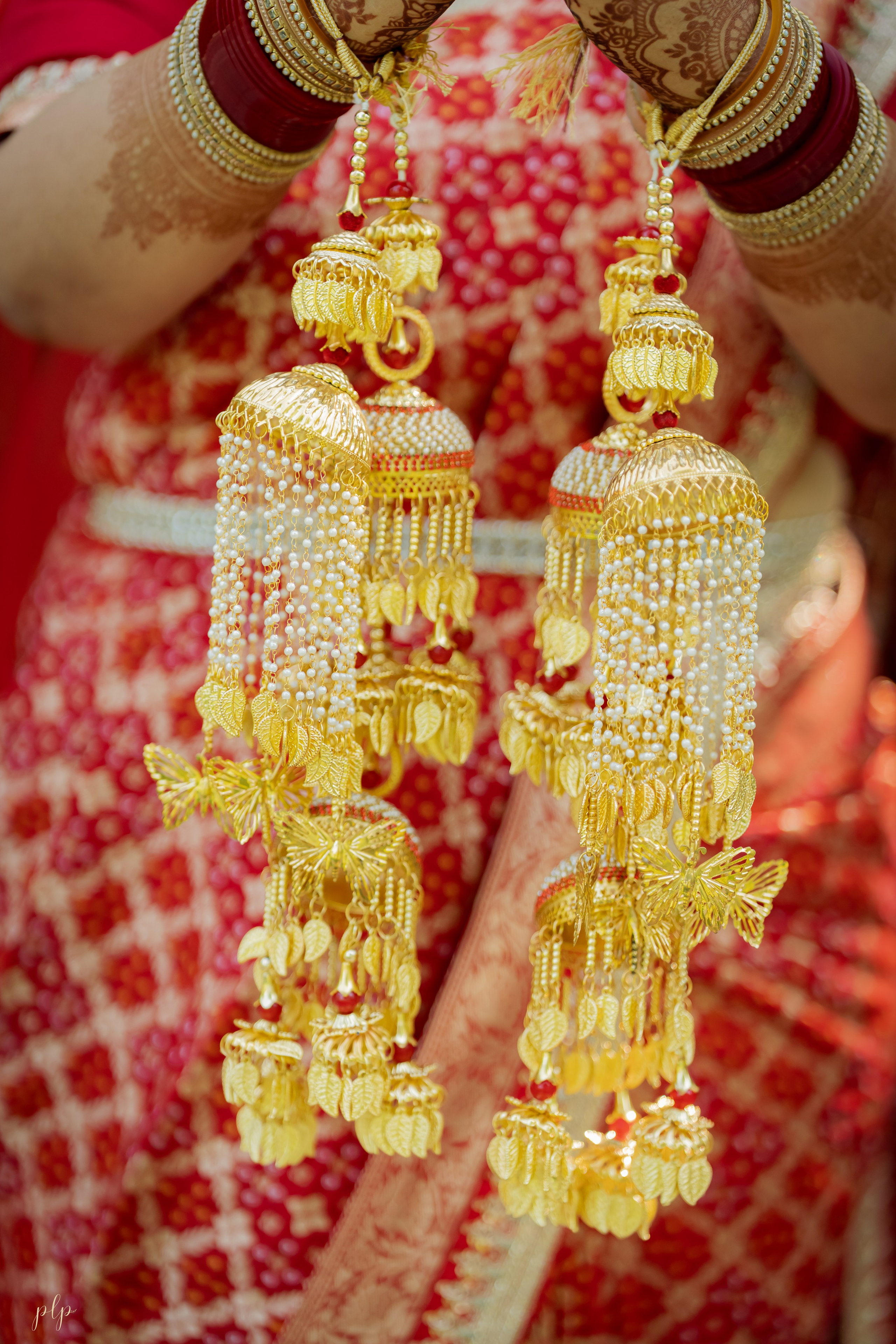 Arti & Dan. Wedding Photographers and Filmmakers