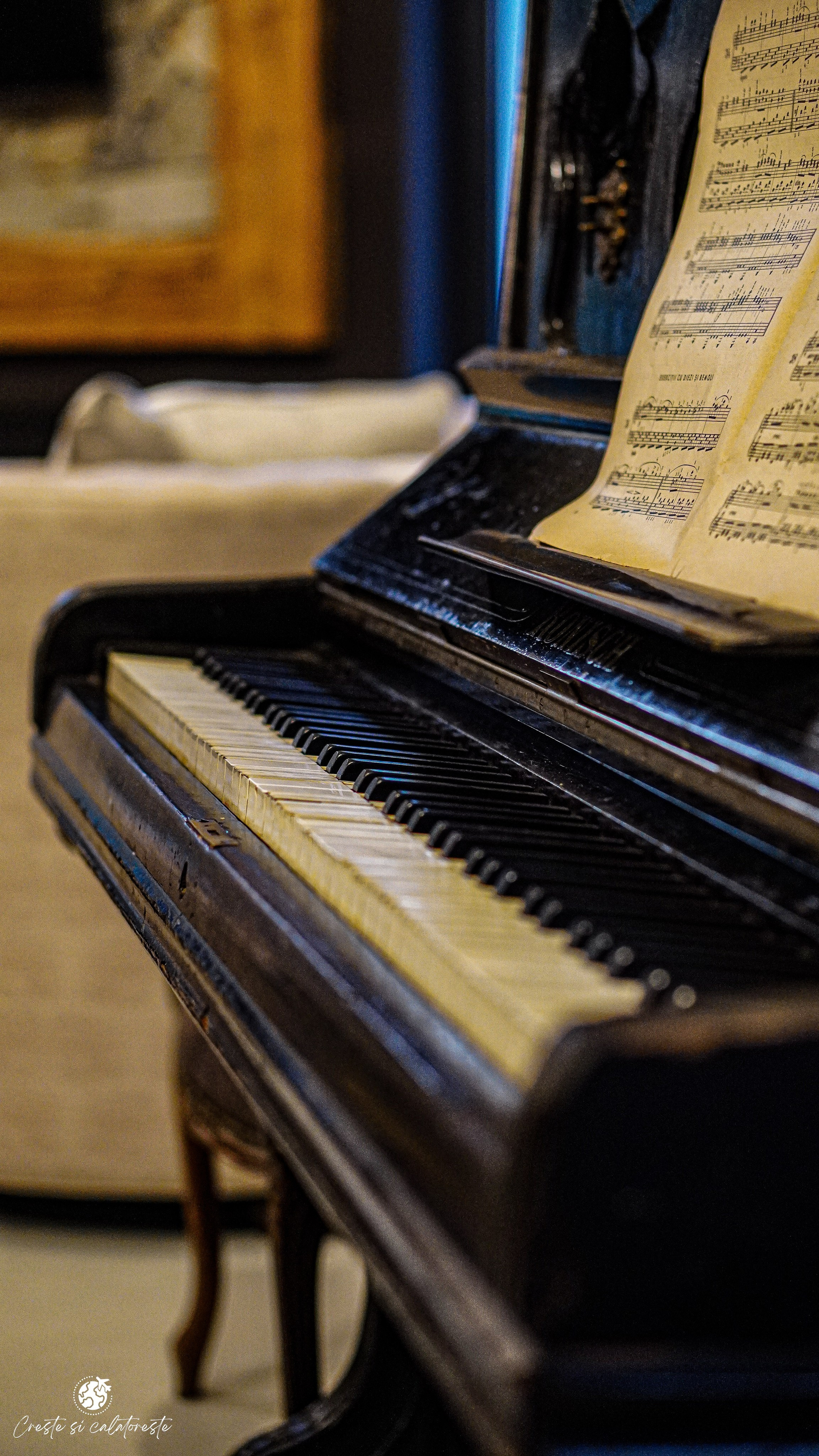 Bransilvania. Creste si calatoreste