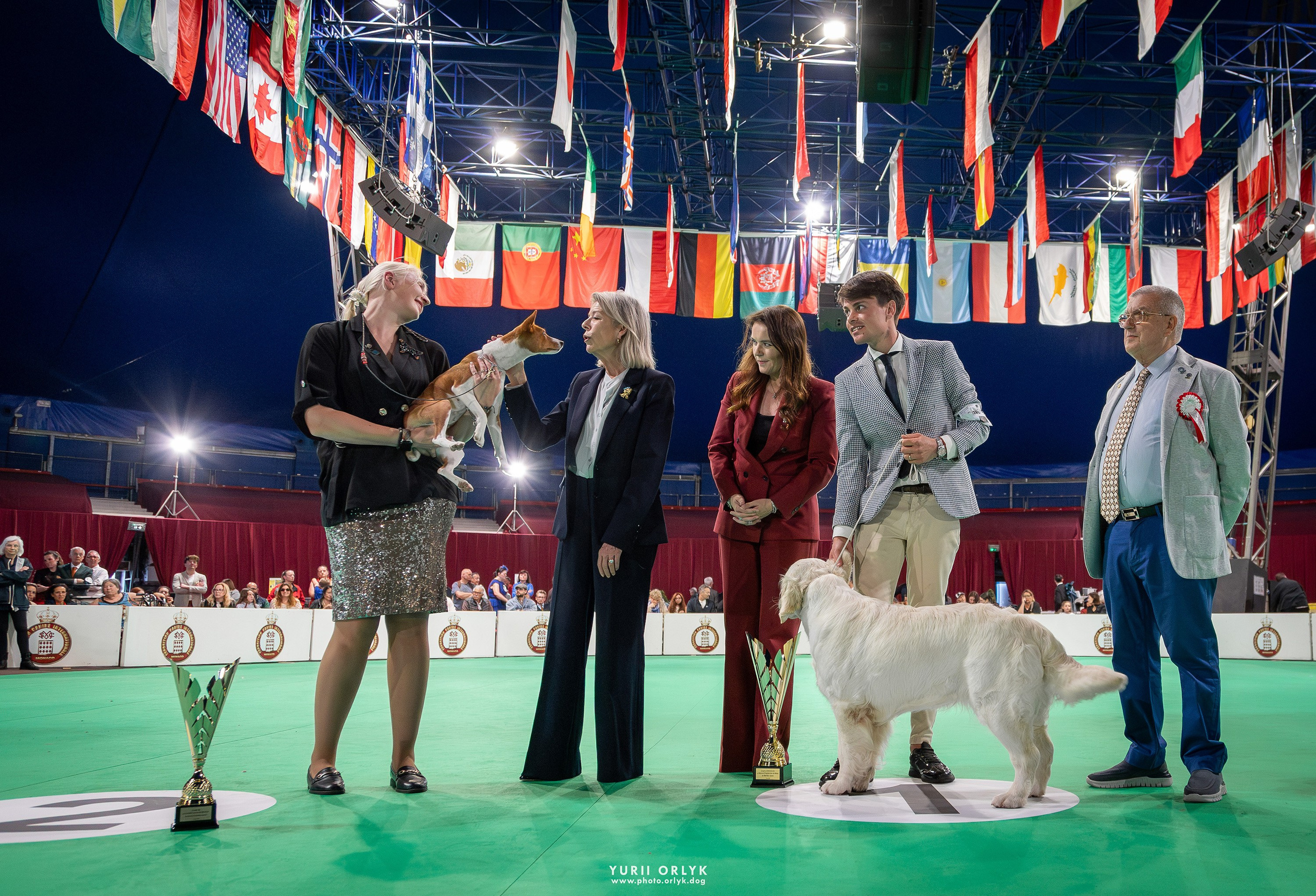 Dog Shows. Yurii Orlyk Photography