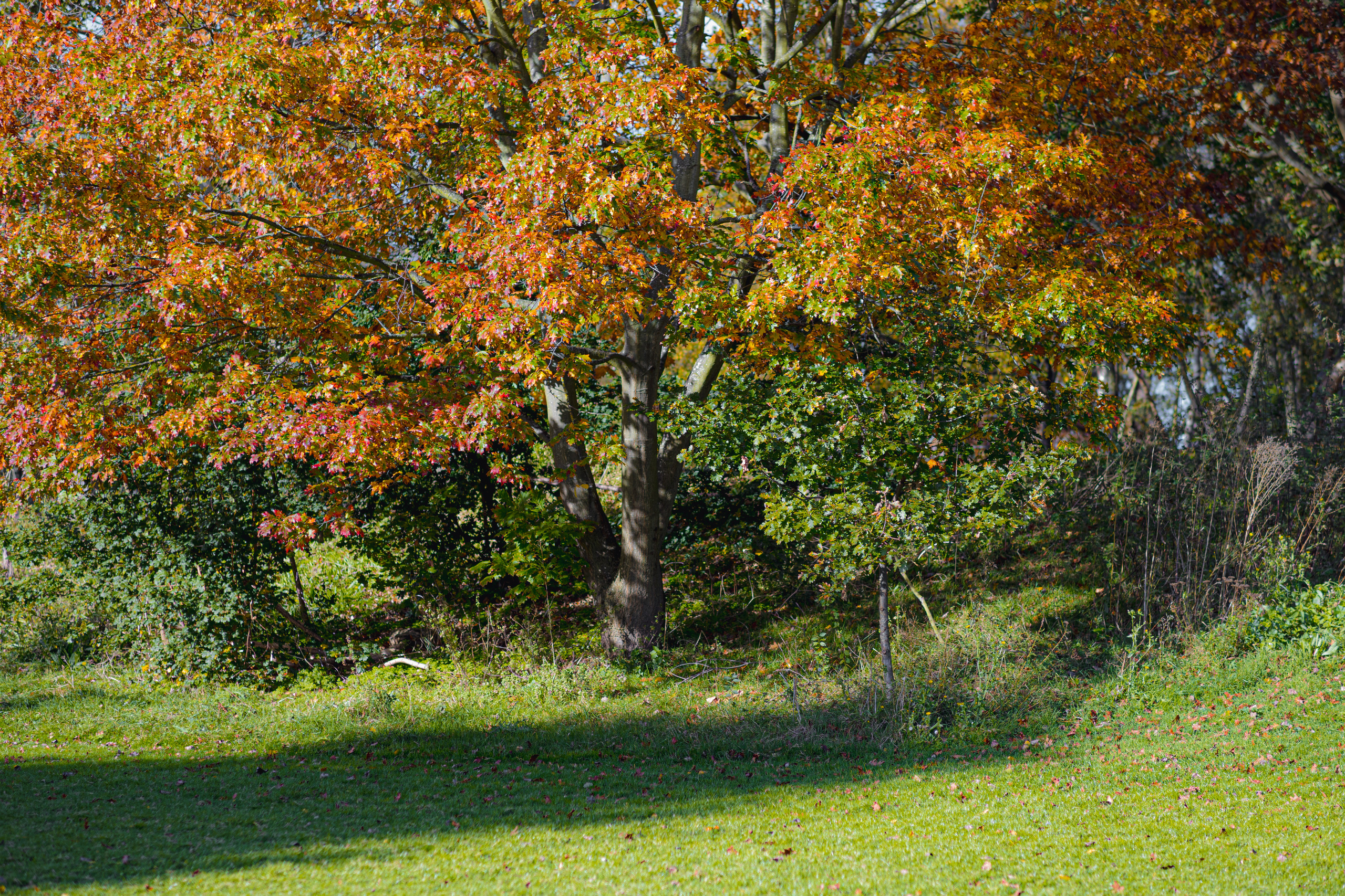 Nature. Timeless Wedding & Event Photography from London to the world
