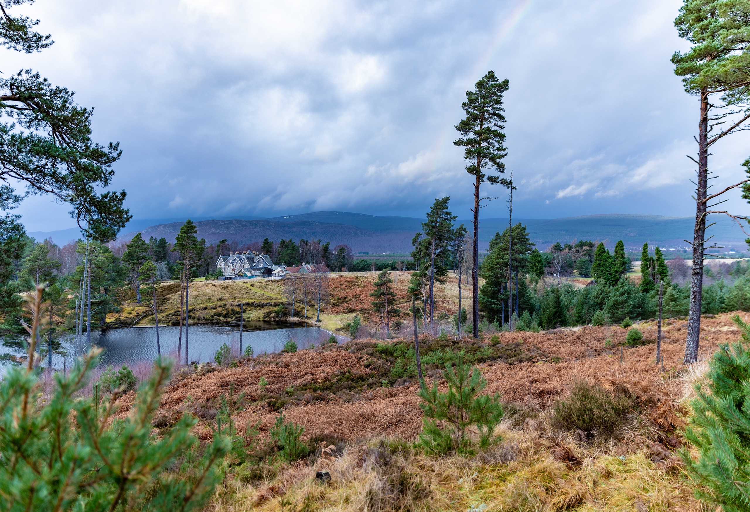 Nature. Timeless Wedding & Event Photography from London to the world