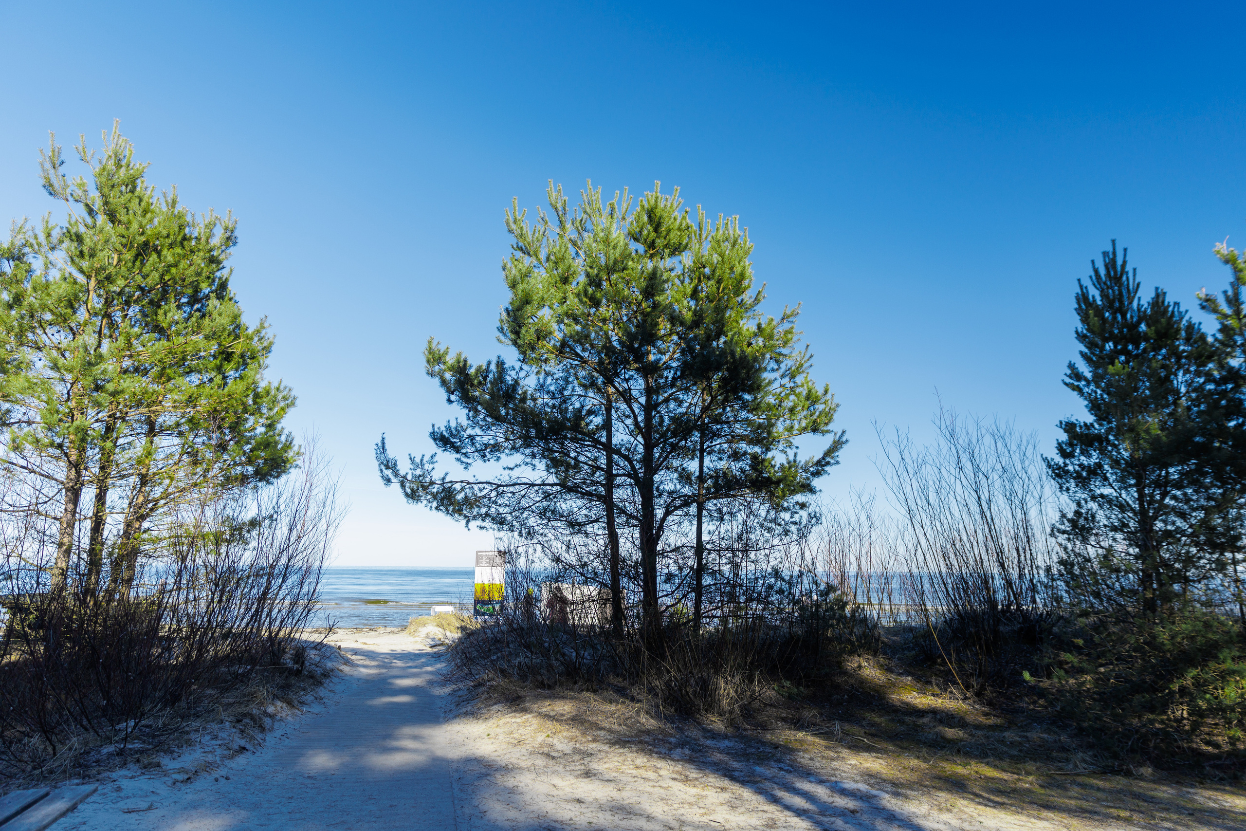 Nature. Timeless Wedding & Event Photography from London to the world