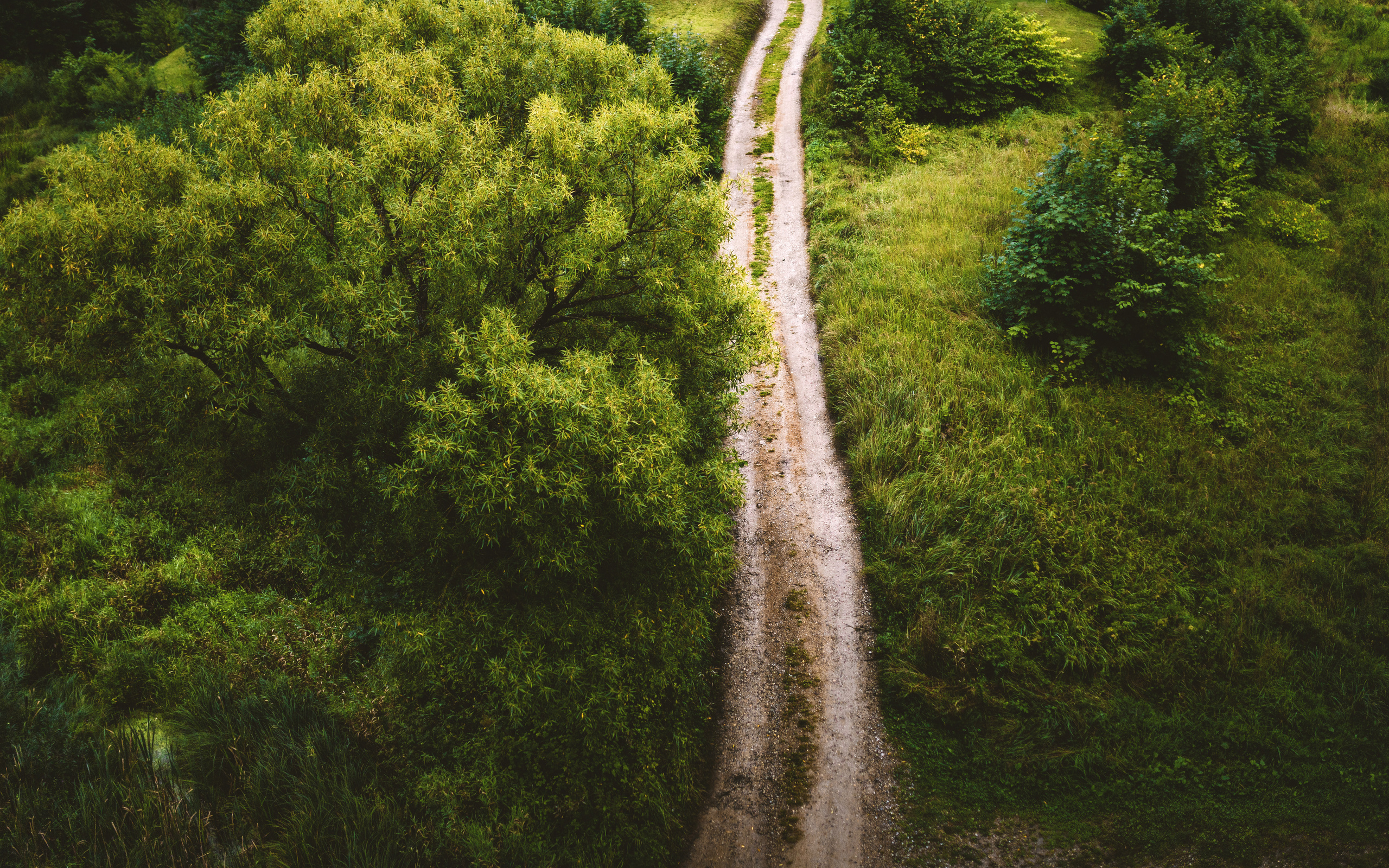 Nature. Timeless Wedding & Event Photography from London to the world