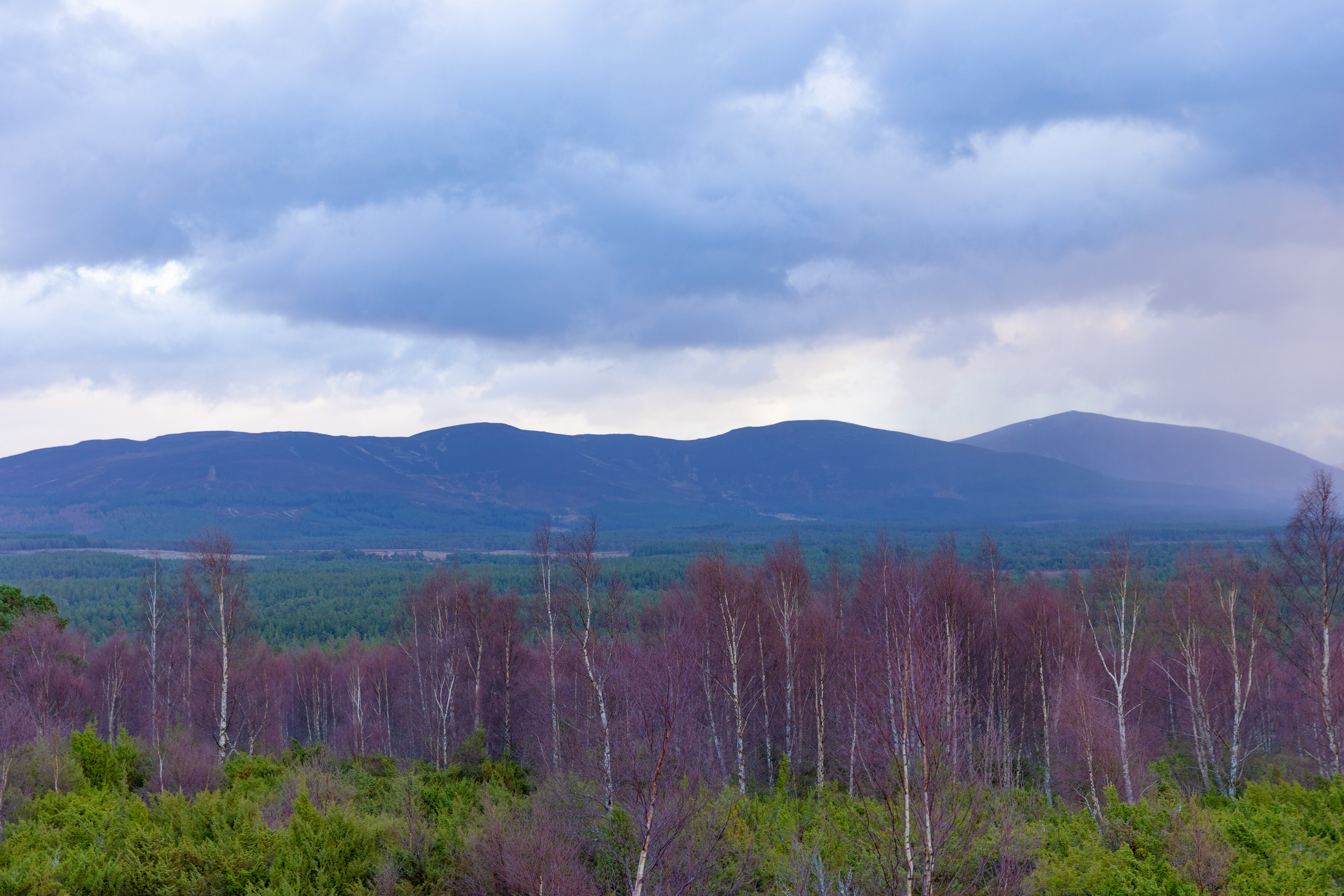 Nature. Timeless Wedding & Event Photography from London to the world
