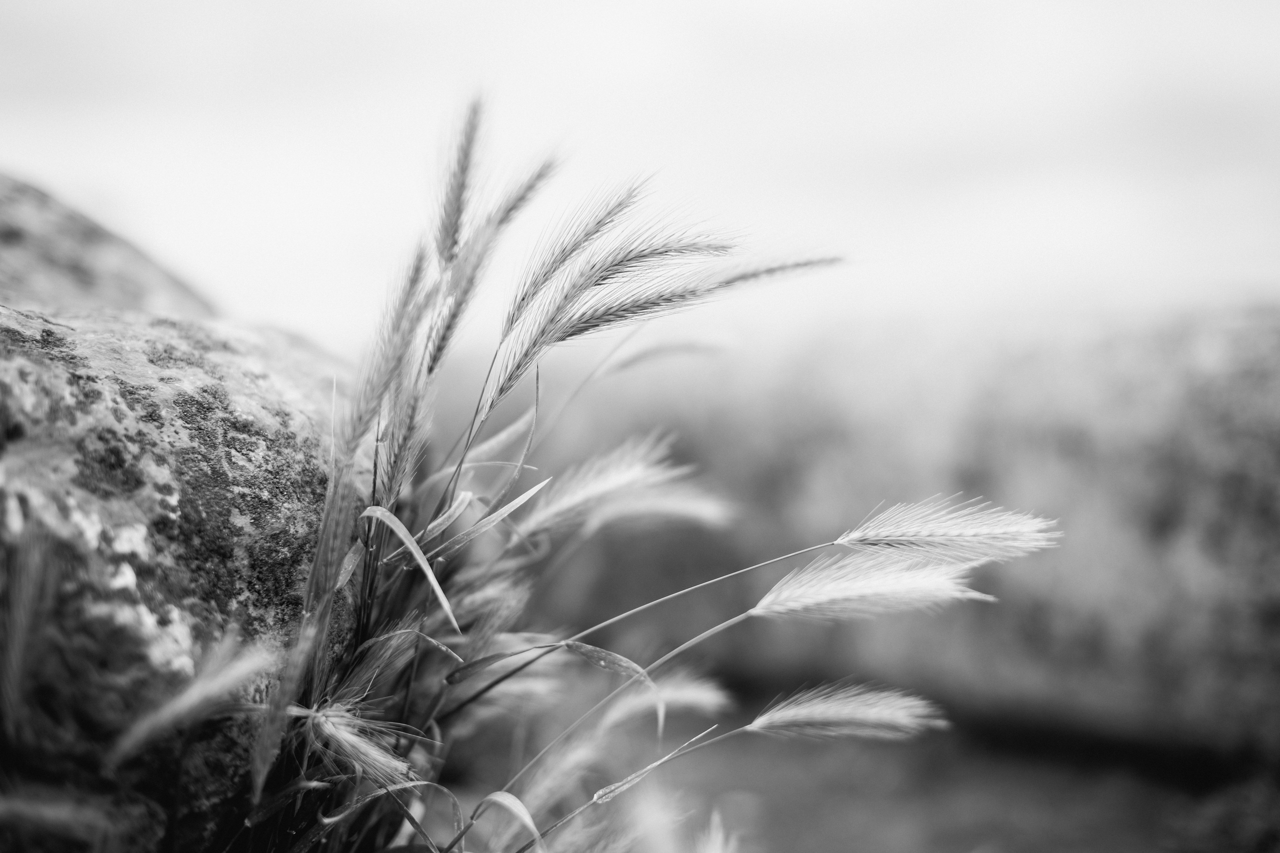 B&W. Timeless Wedding & Event Photography — based London, working across Europe