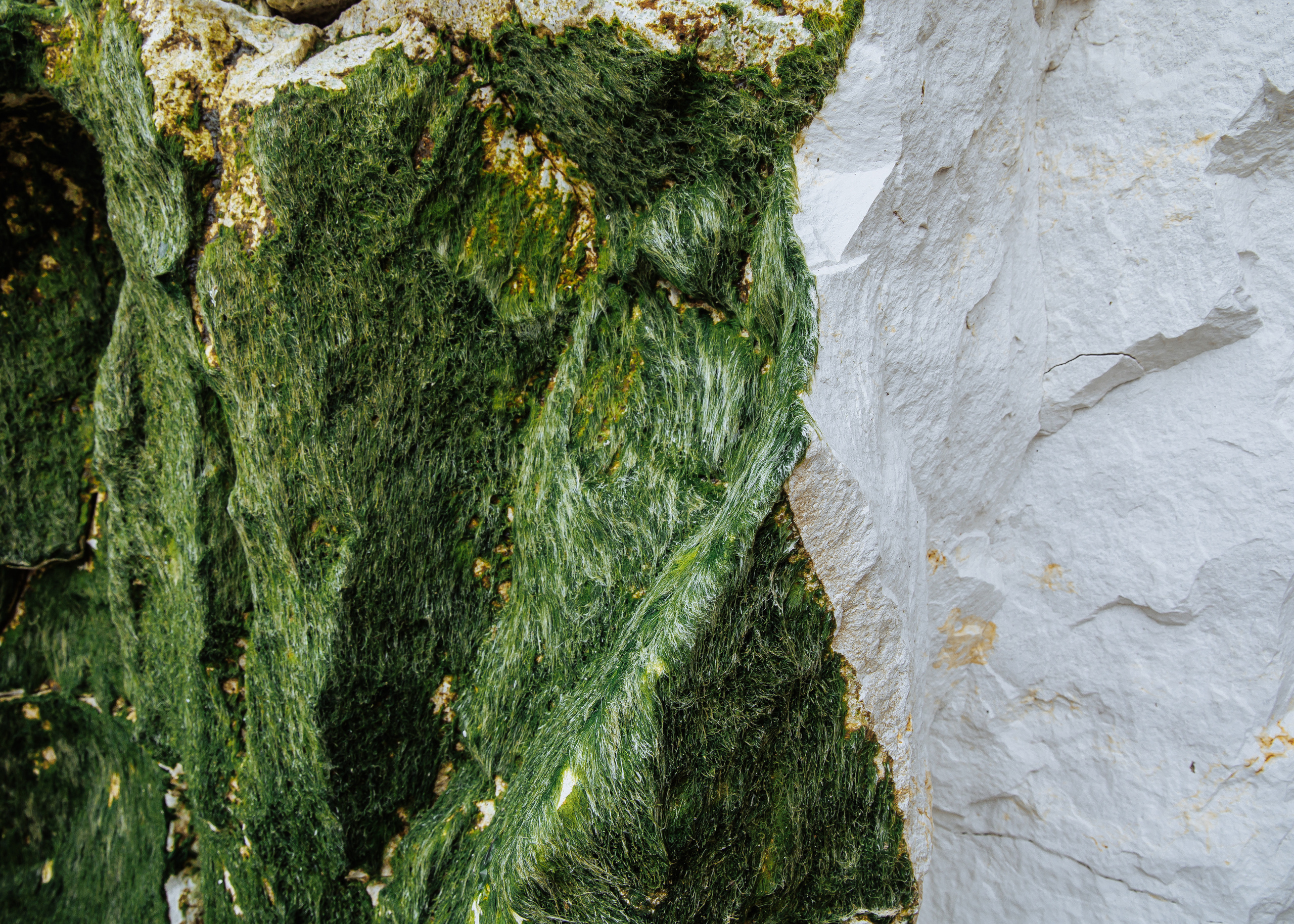 Nature. Timeless Wedding & Event Photography from London to the world