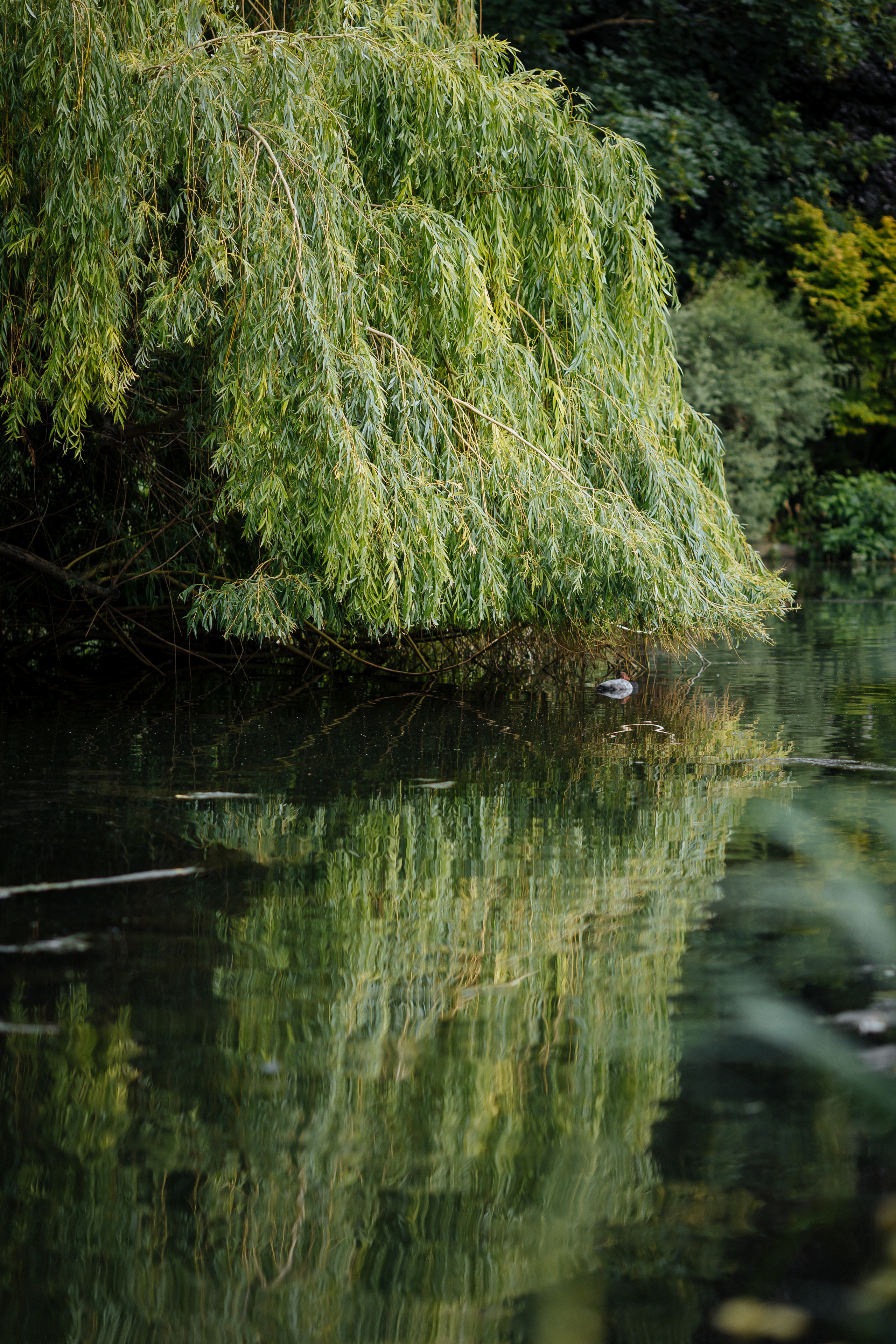 Nature. Timeless Wedding & Event Photography from London to the world