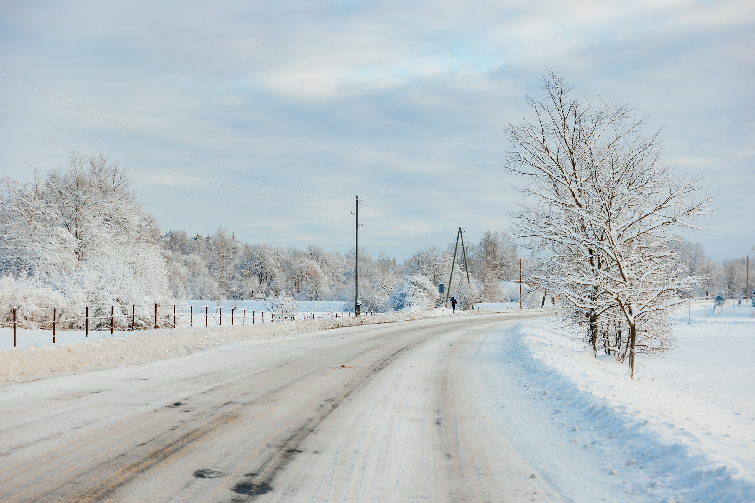 Nature. Timeless Wedding & Event Photography from London to the world