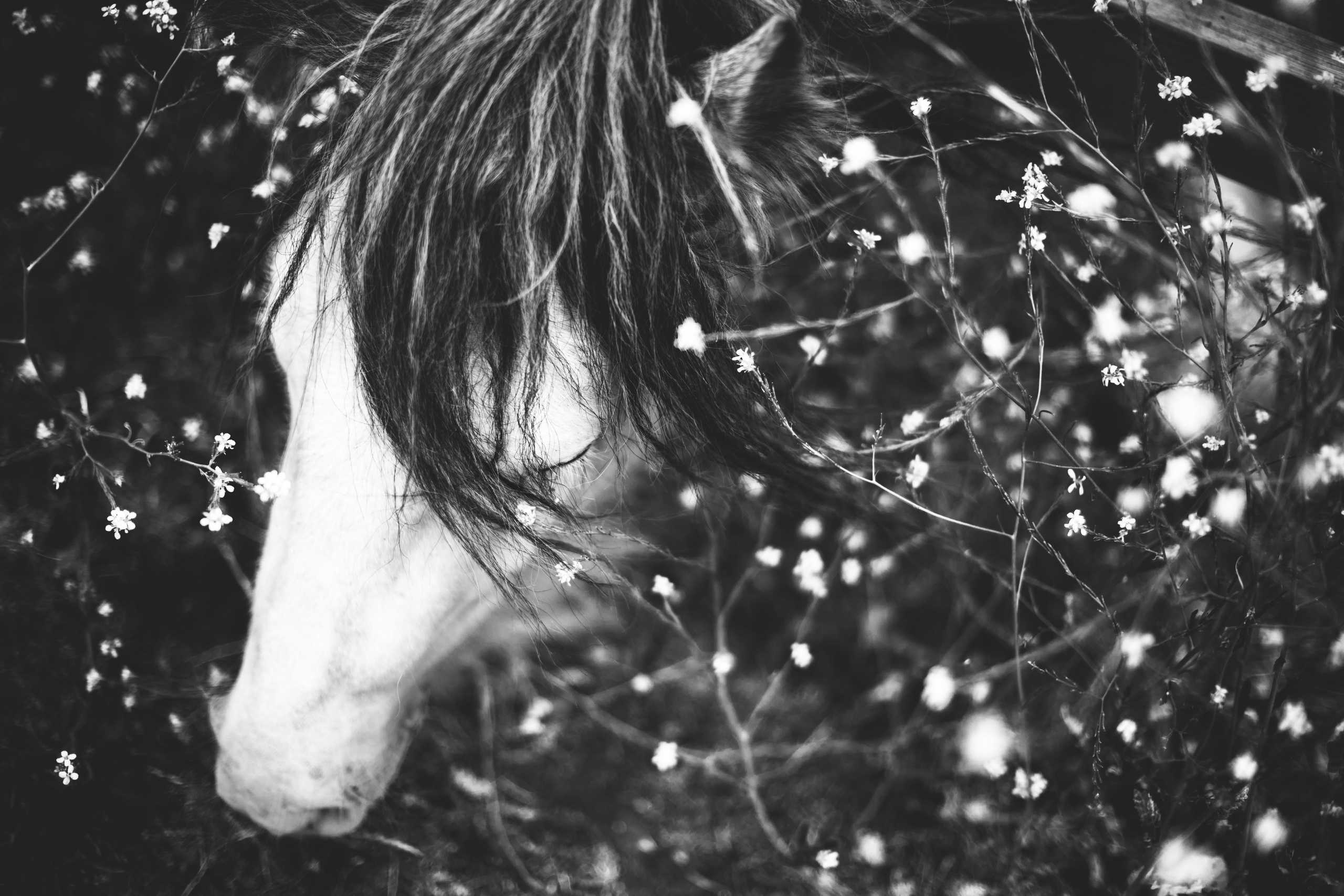 B&W. Timeless Wedding & Event Photography — based London, working across Europe