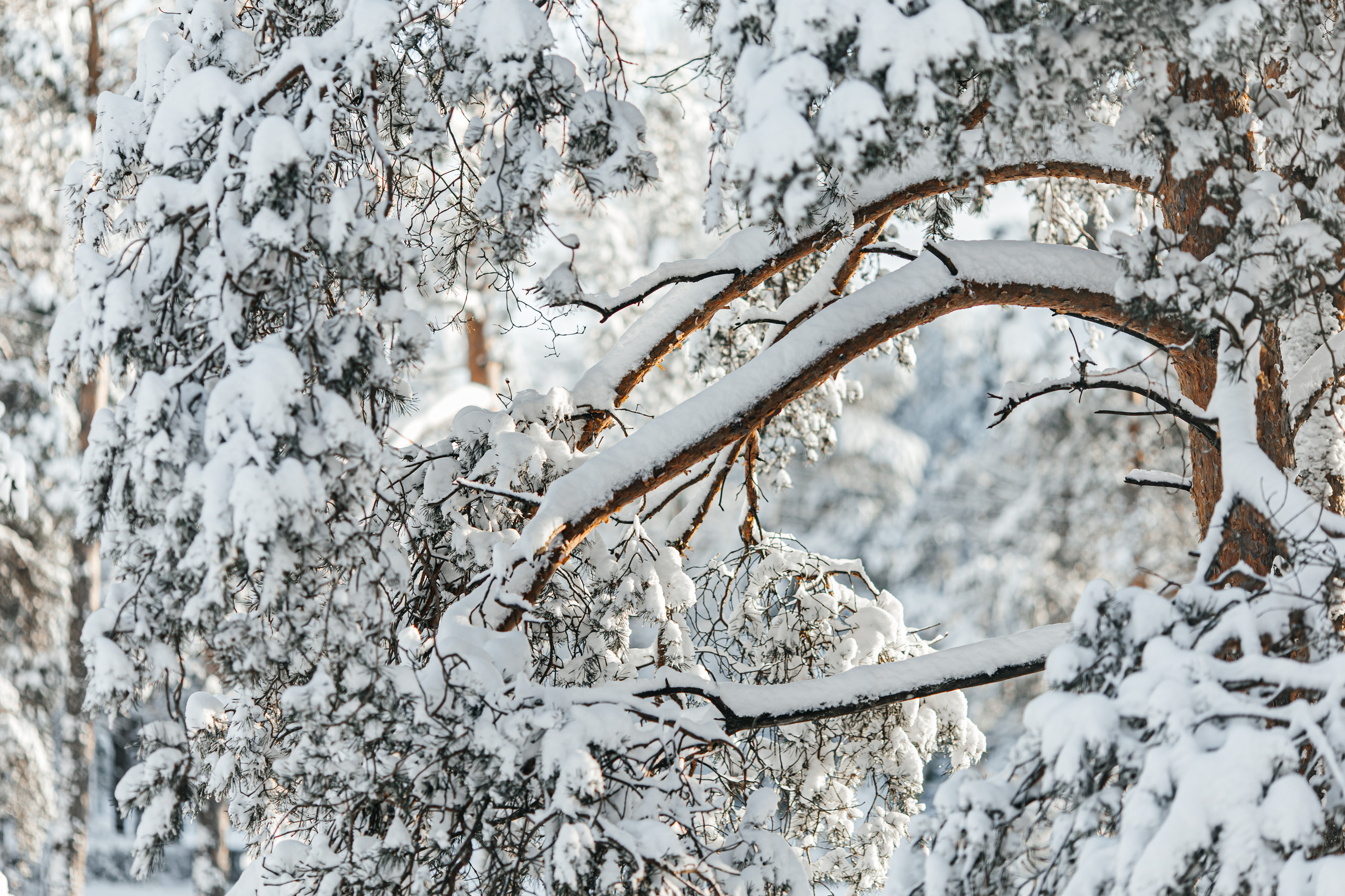Nature. Timeless Wedding & Event Photography from London to the world
