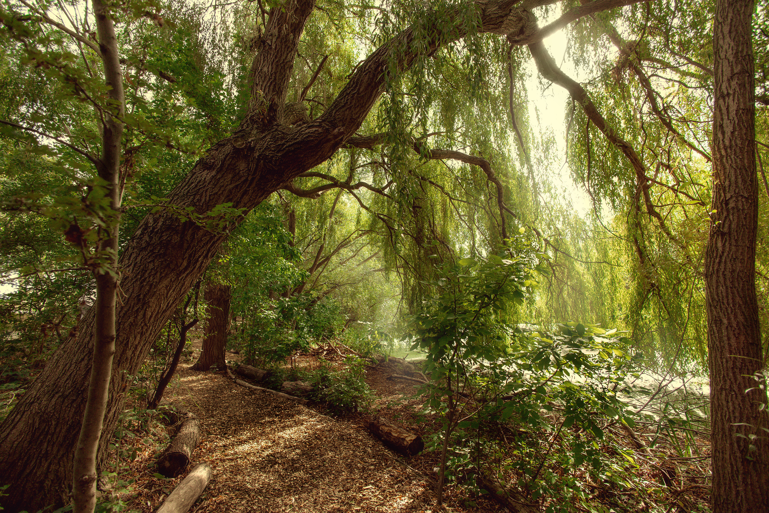 Nature. Timeless Wedding & Event Photography from London to the world