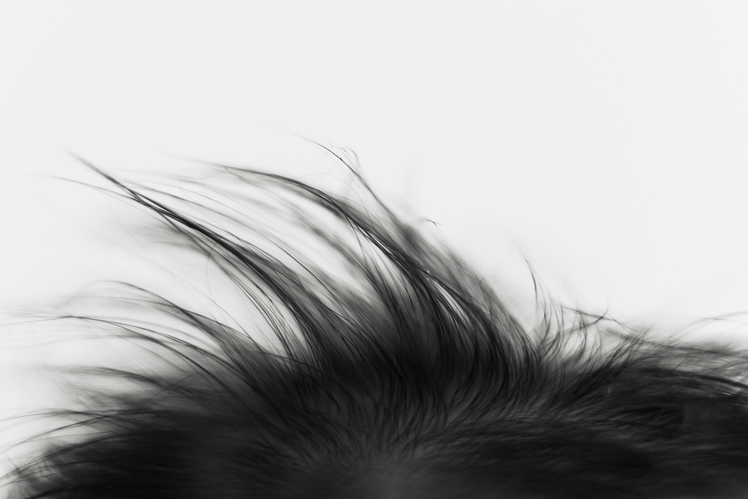 Verzorgde babyfotoshoot