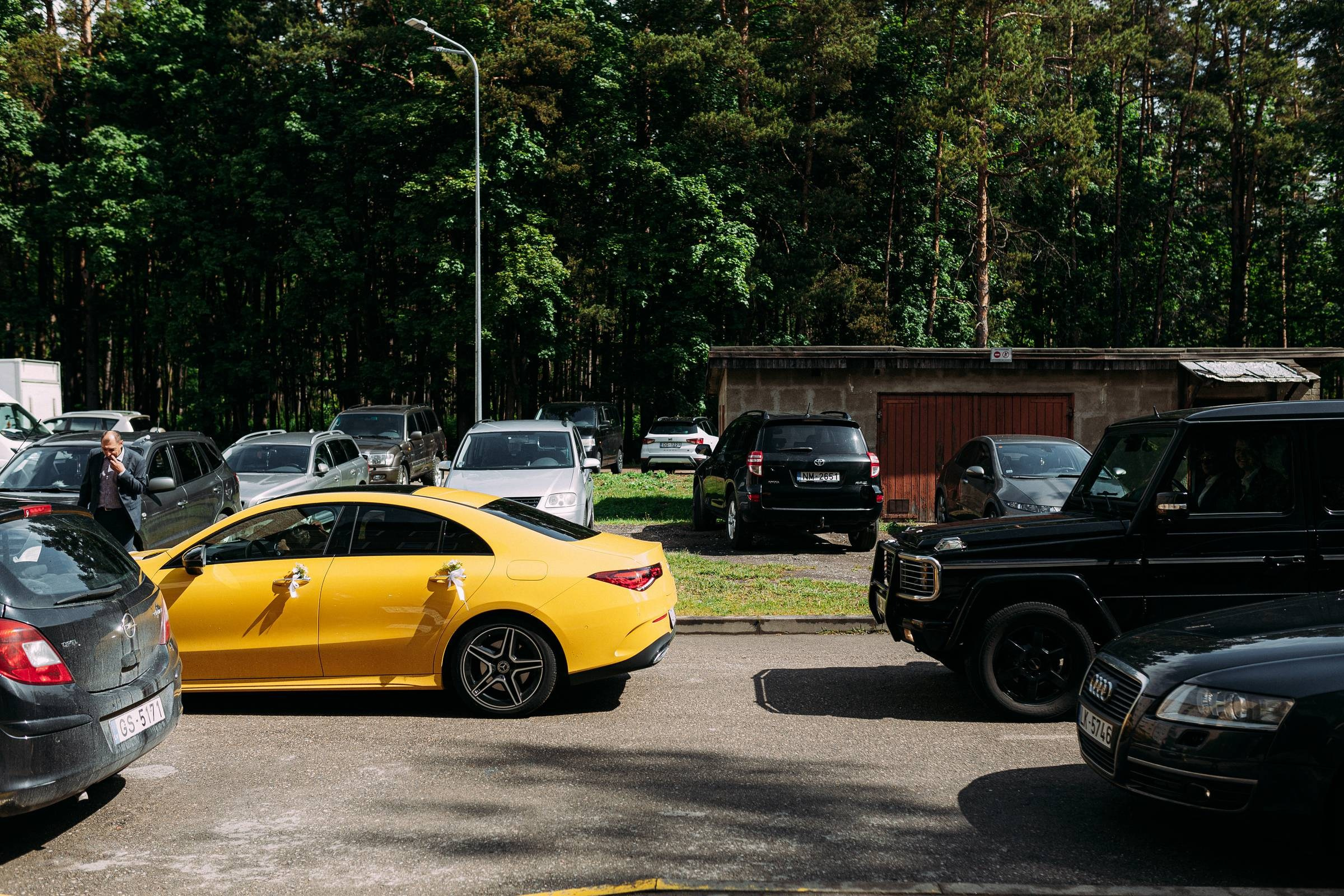 DZELTENAIS VAIRO PRIEKU