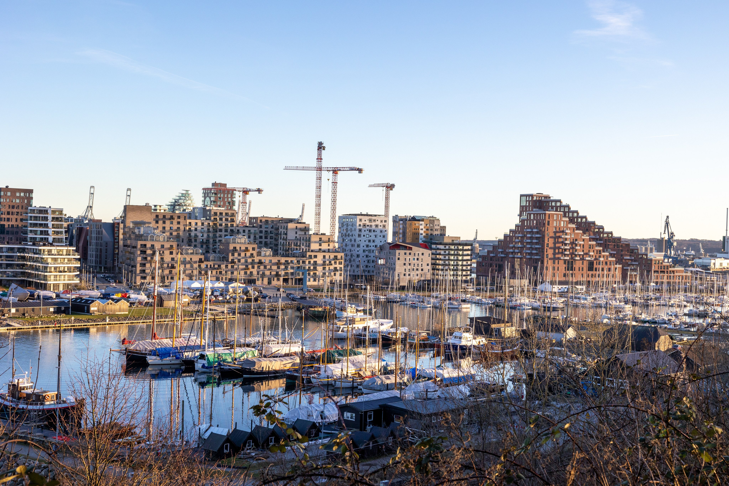 Forår. Fotograf Aarhus | Portrætfoto Århus | Flotte billeder