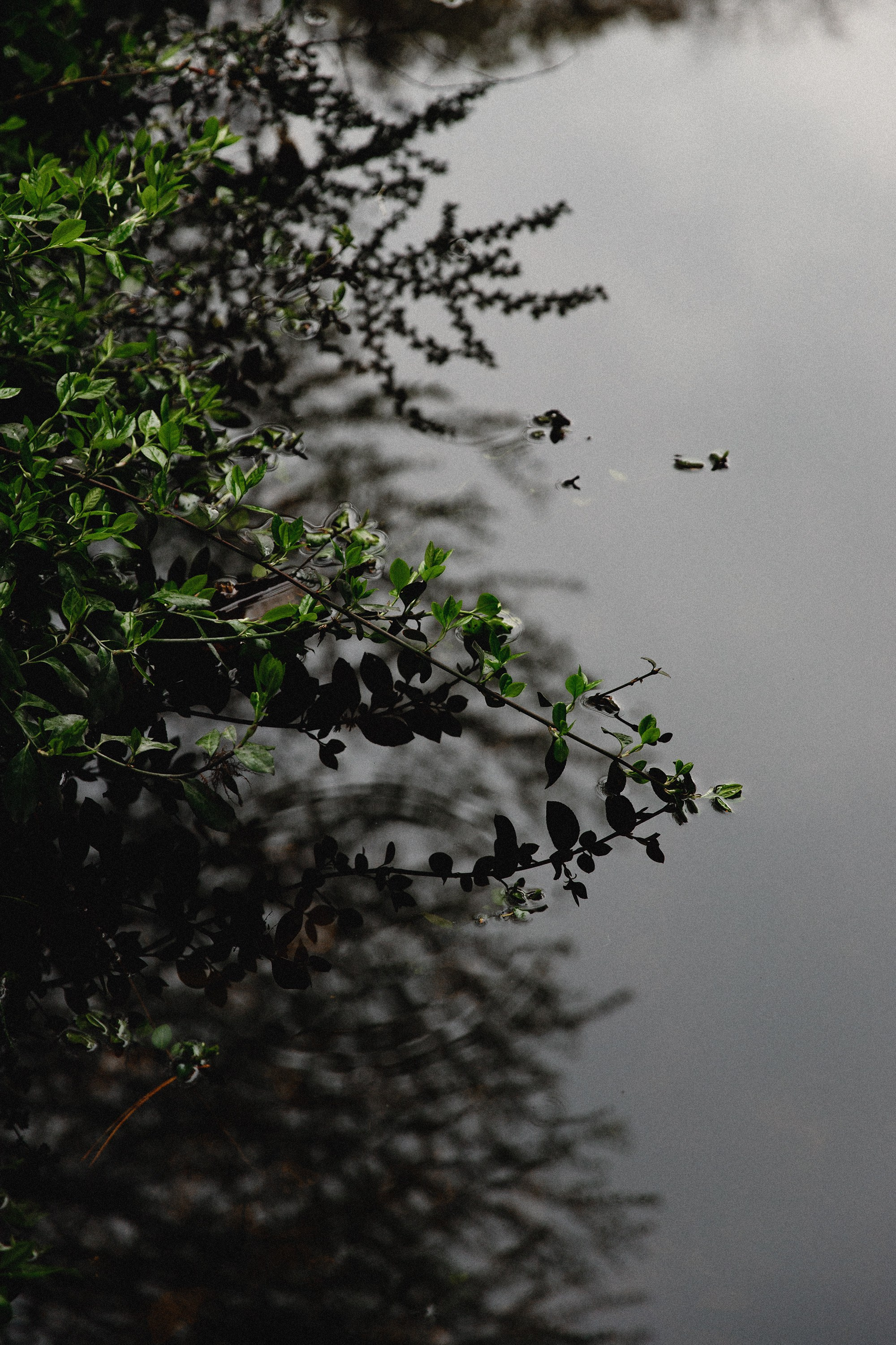 Botanical garden in Wroclaw. Kaja | fotograf we Wrocławiu | ludzie i psy