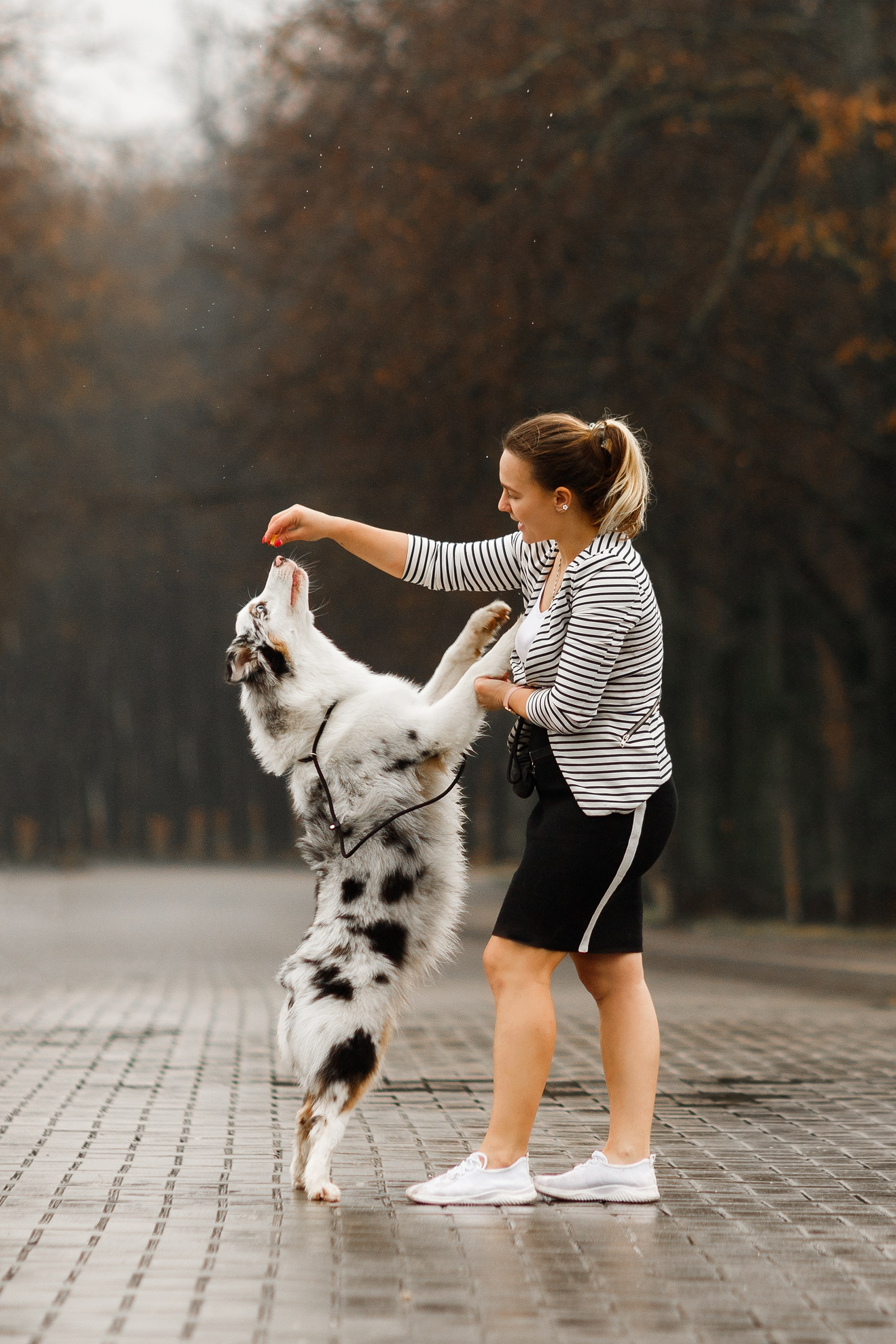 Dog shows | the best ones. Kaja | fotograf psów we Wrocławiu