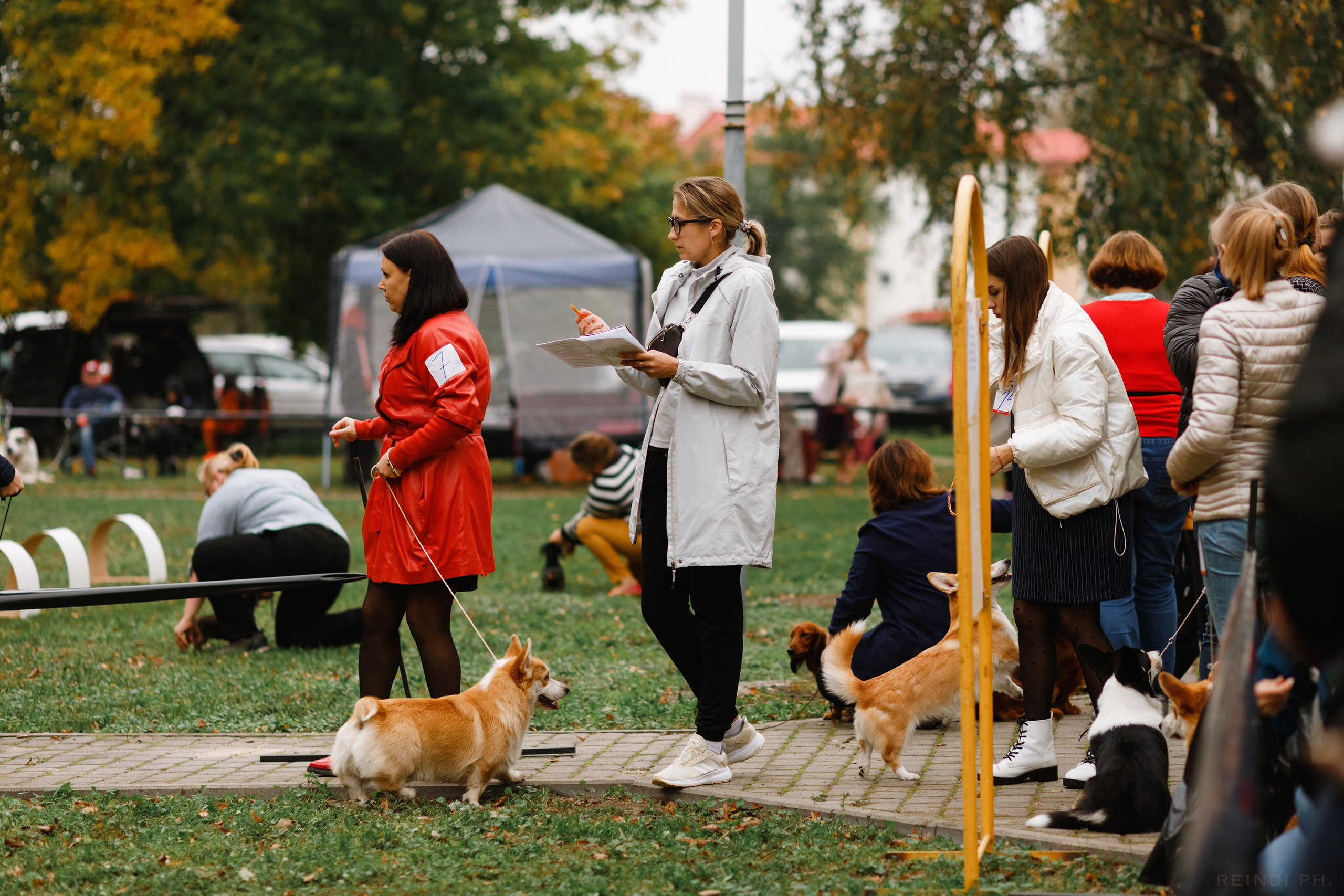 «Argus» dog show in Brest. Kaja | fotograf we Wrocławiu | ludzie i psy