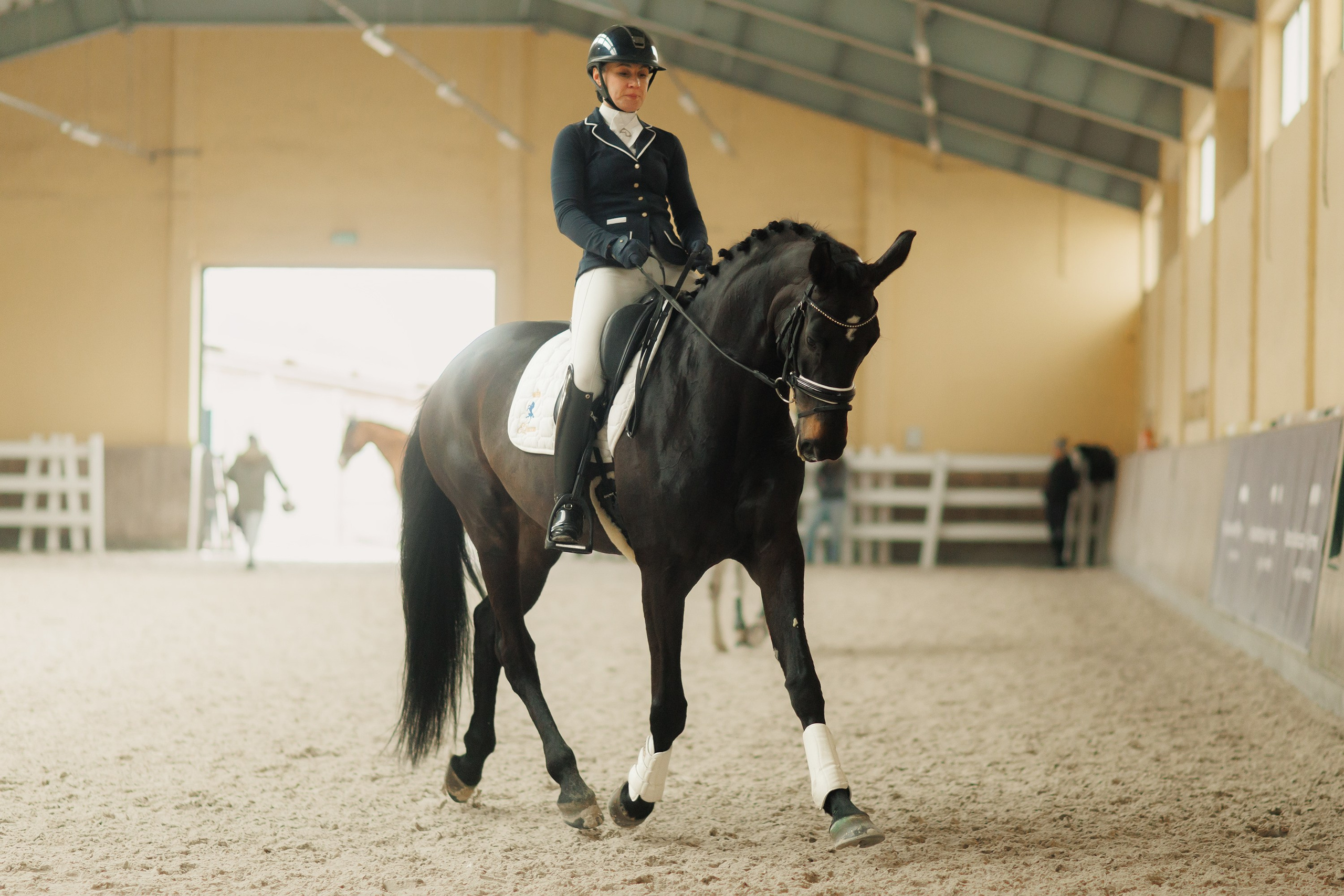 Fotografia koni Wrocław \ ujeżdżenie, Partynice. Kaja | fotograf we Wrocławiu | ludzie i psy