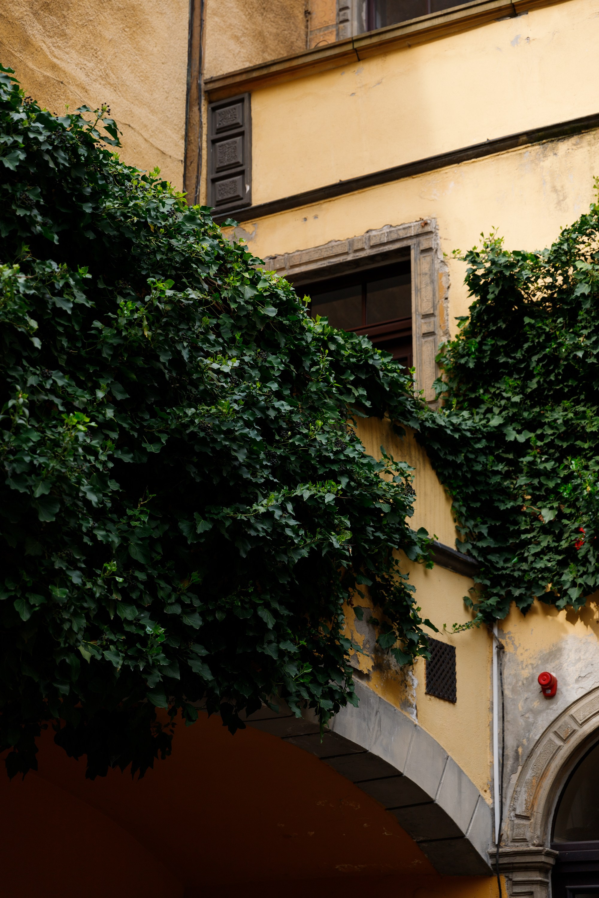 Oleśnica castle. Kaja | fotograf psów we Wrocławiu