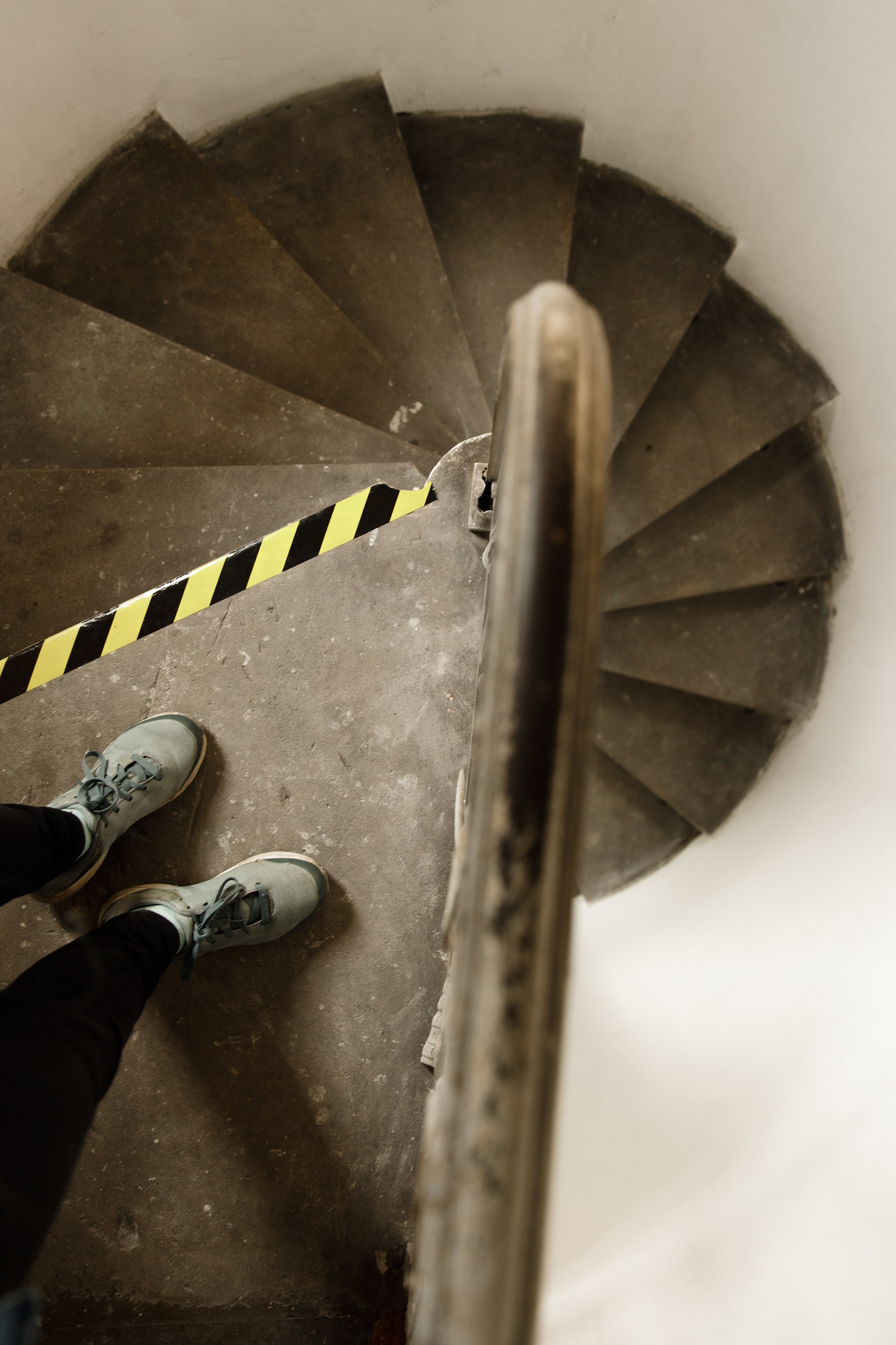 Oleśnica castle. Kaja | fotograf psów we Wrocławiu