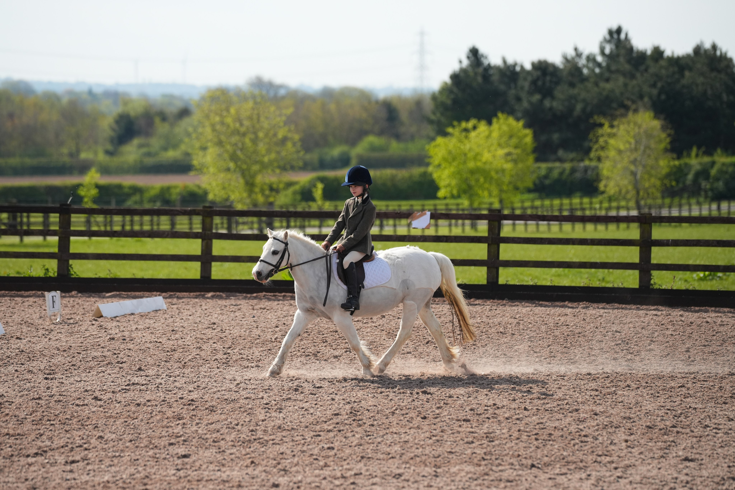 Dressage. Leicestershire Equine Photography by El | Authentic Equine Portraits & Events