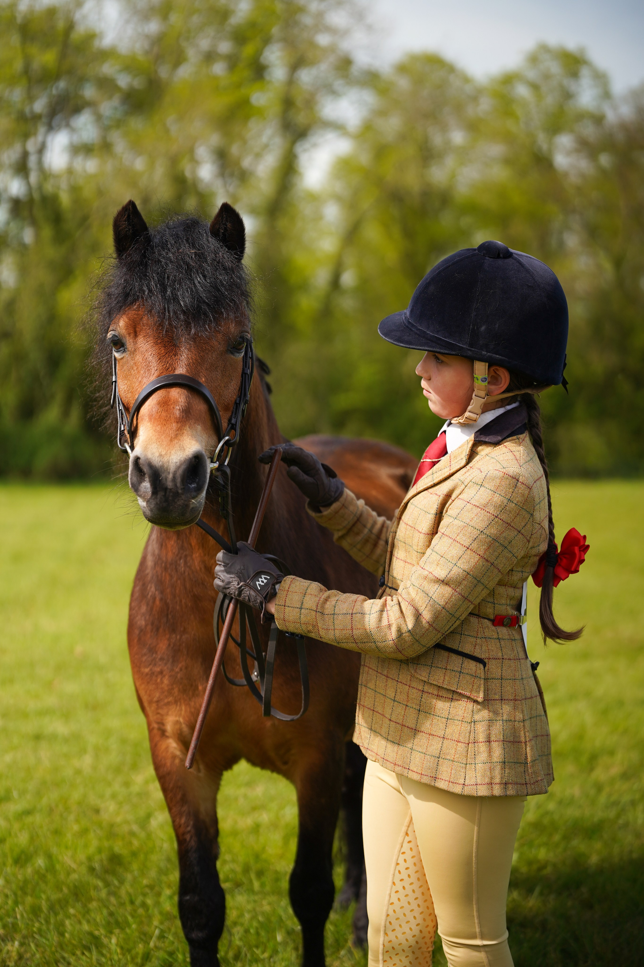 Showing. Leicestershire Equine Photography by El | Authentic Equine Portraits & Events