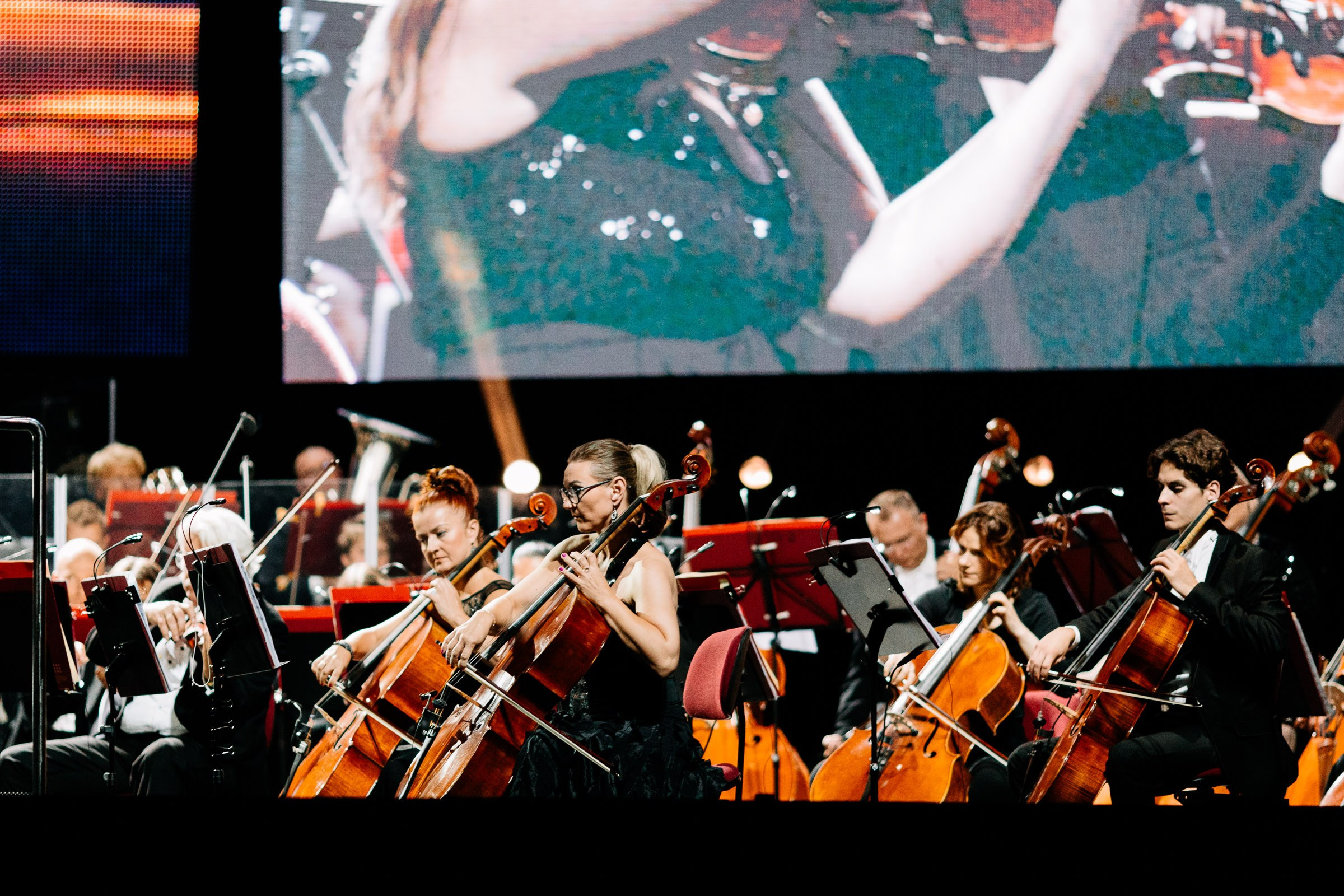 Opera Leśna Koncert. Fotograf Ślubny Warszawa - Sesje Biznesowe Rodzinne Eventy