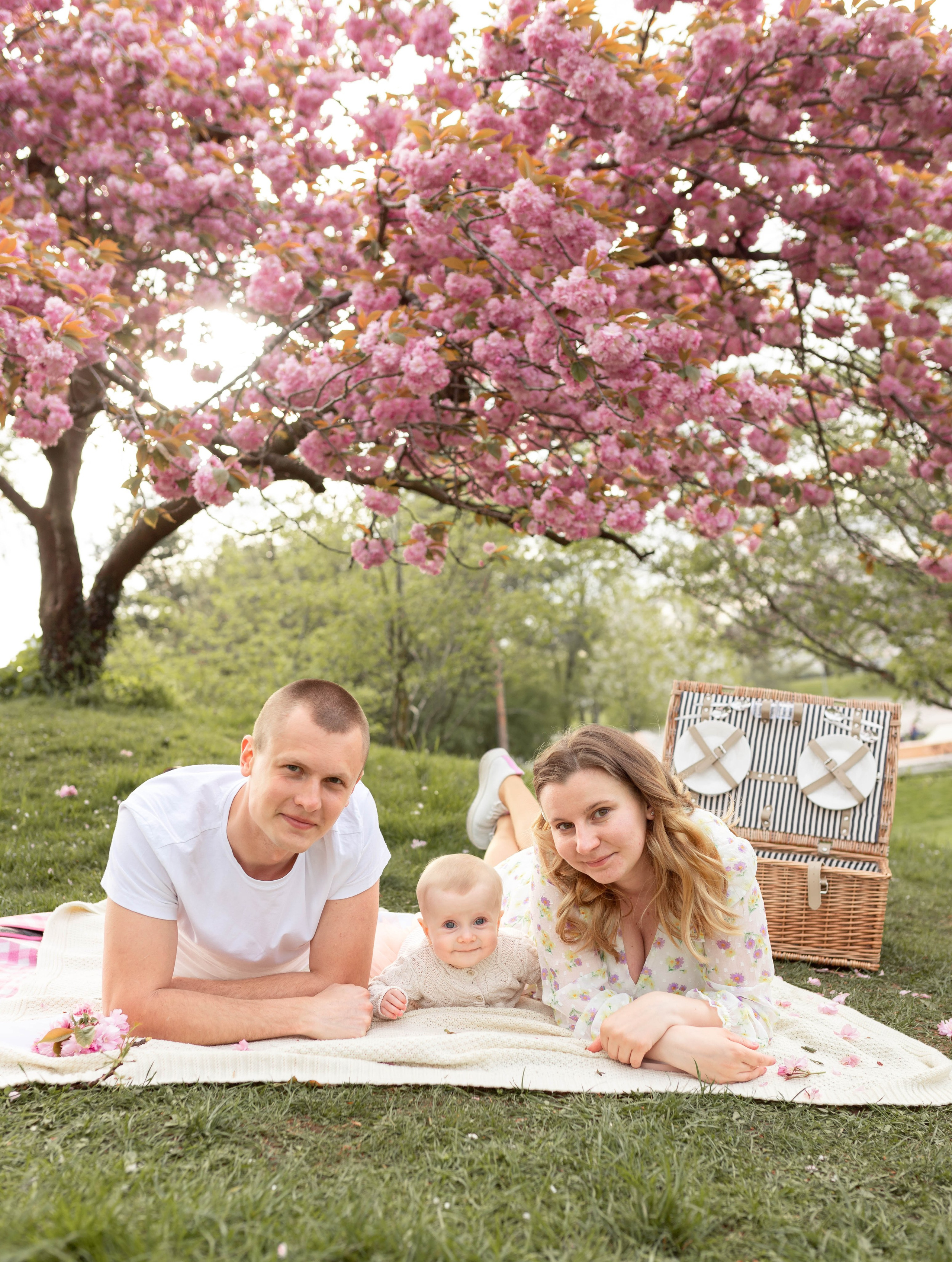 Cherry blossoms. Familien- und Kinderfotografin Katerina Vlasenko, München