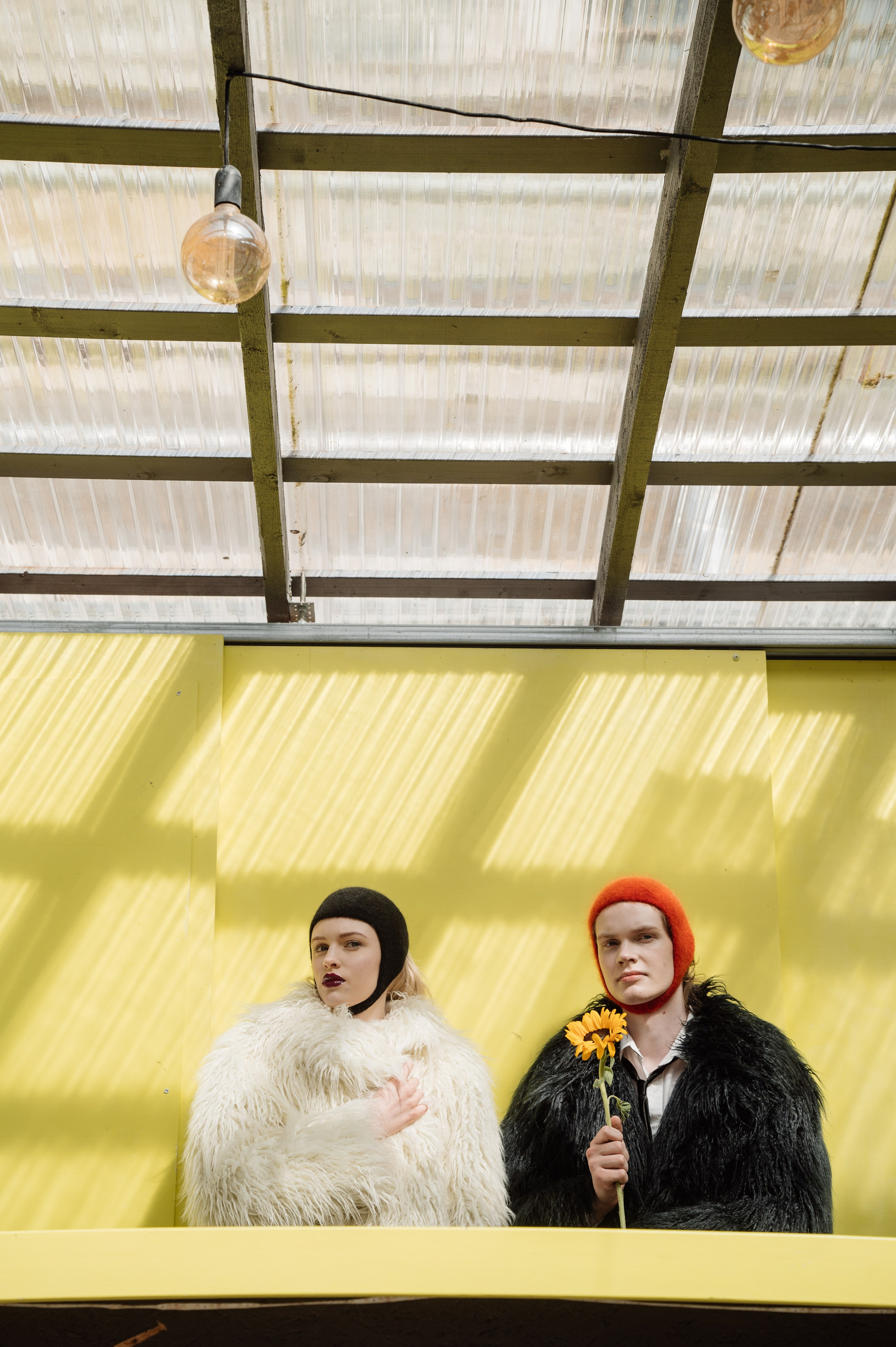 Bryllupsfotograf i Ballangen og Narvik. Familiefotograf i Narvik kommune