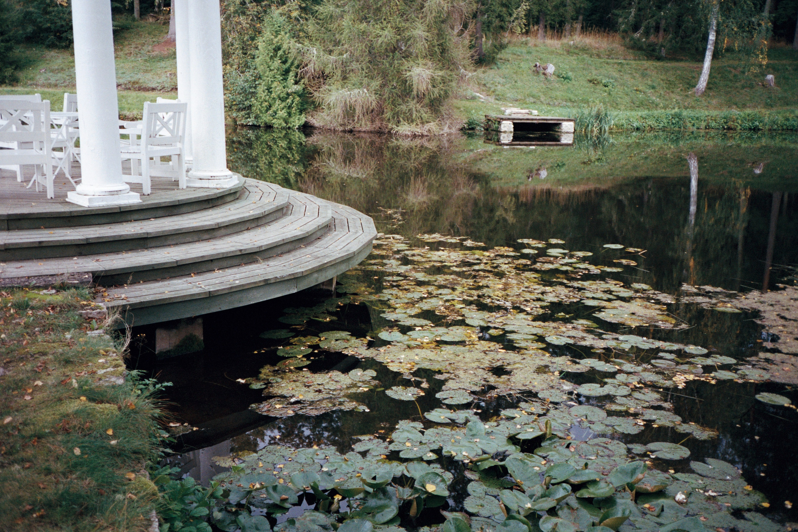 Din fotograf i Narvik kommune