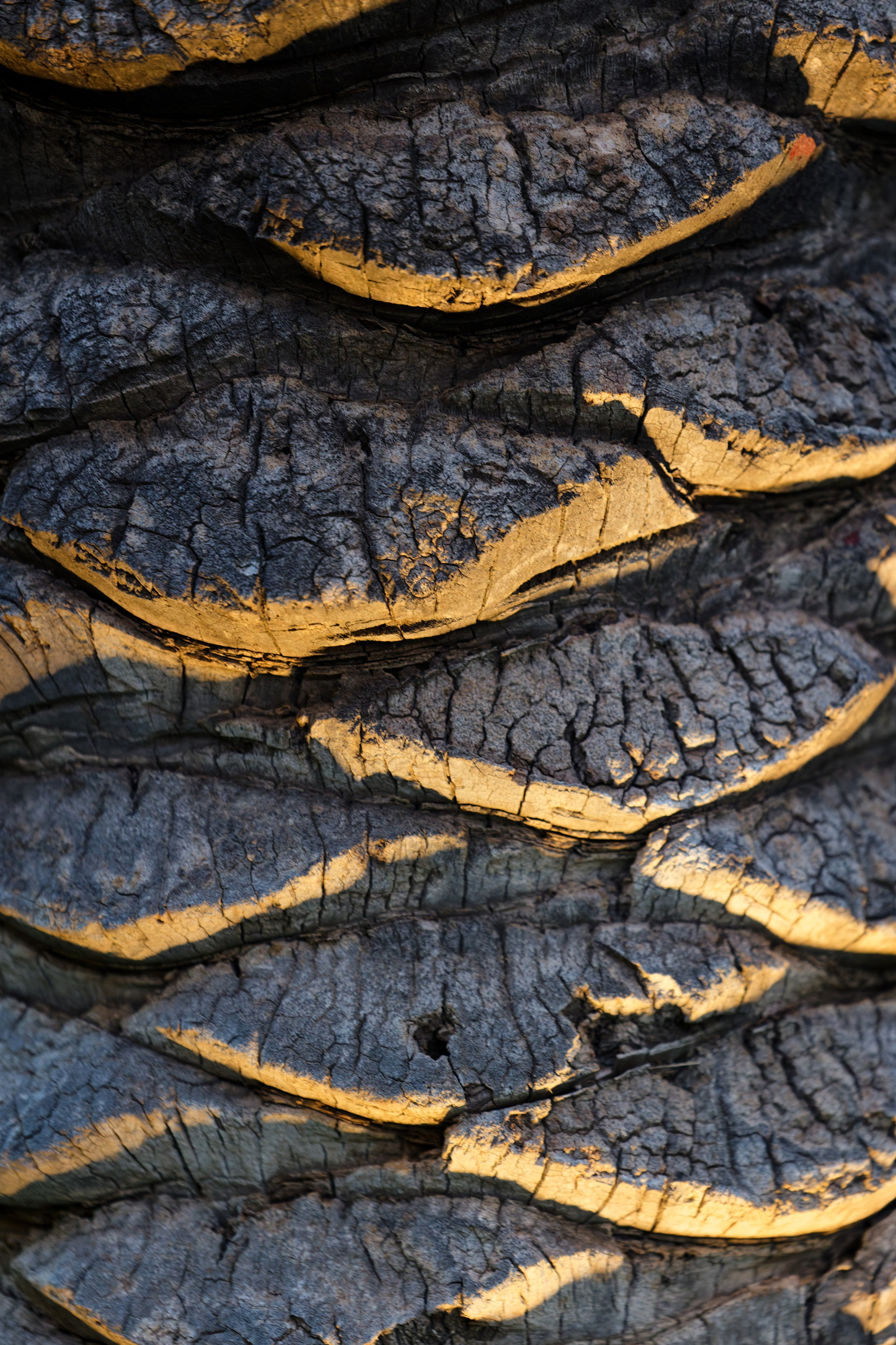 Indian wedding at Gran Villa Rosa, Barcelona, Spain Preview