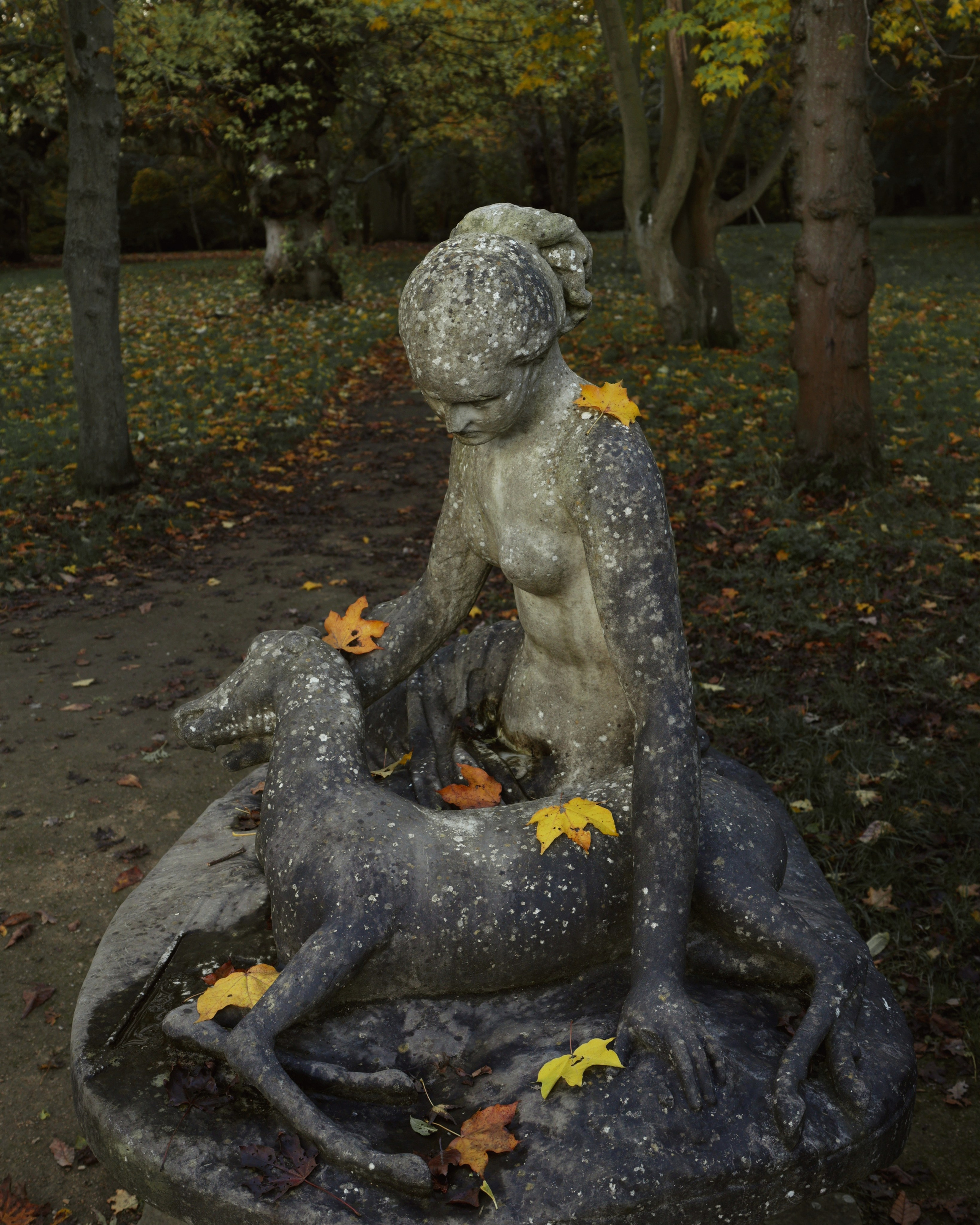 Publications Iconic-Dehazed. Couples and portraits photographer Wimbledon London