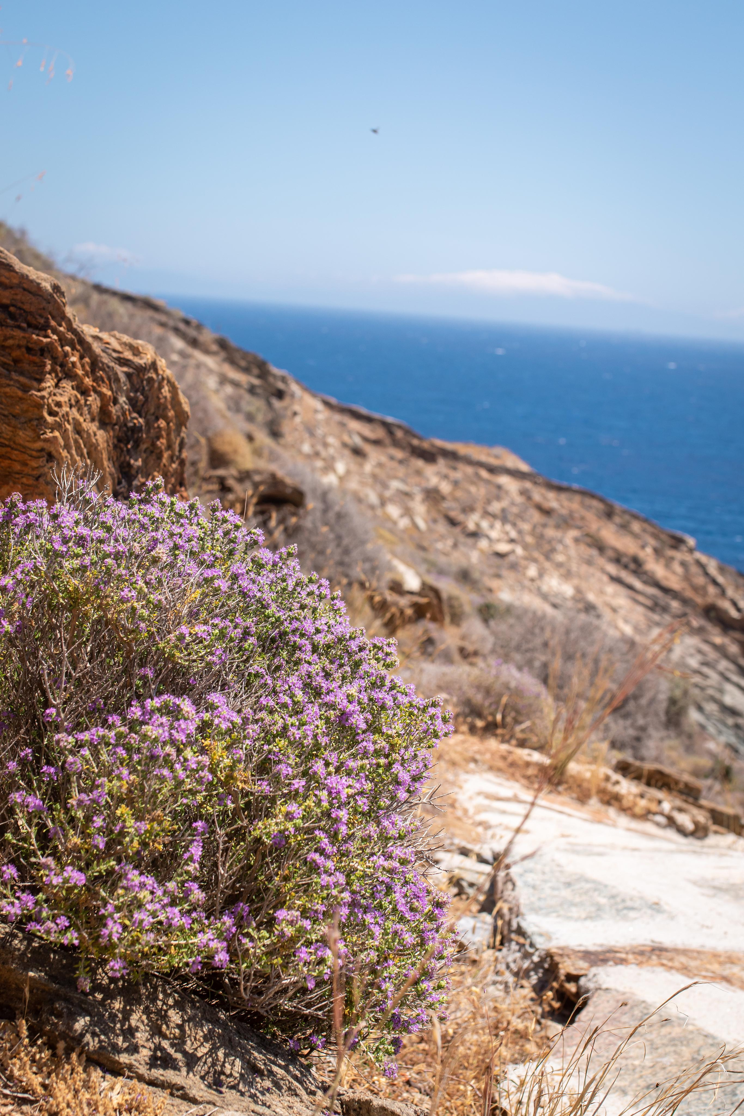 Kea Island. Family Photographer in Greece