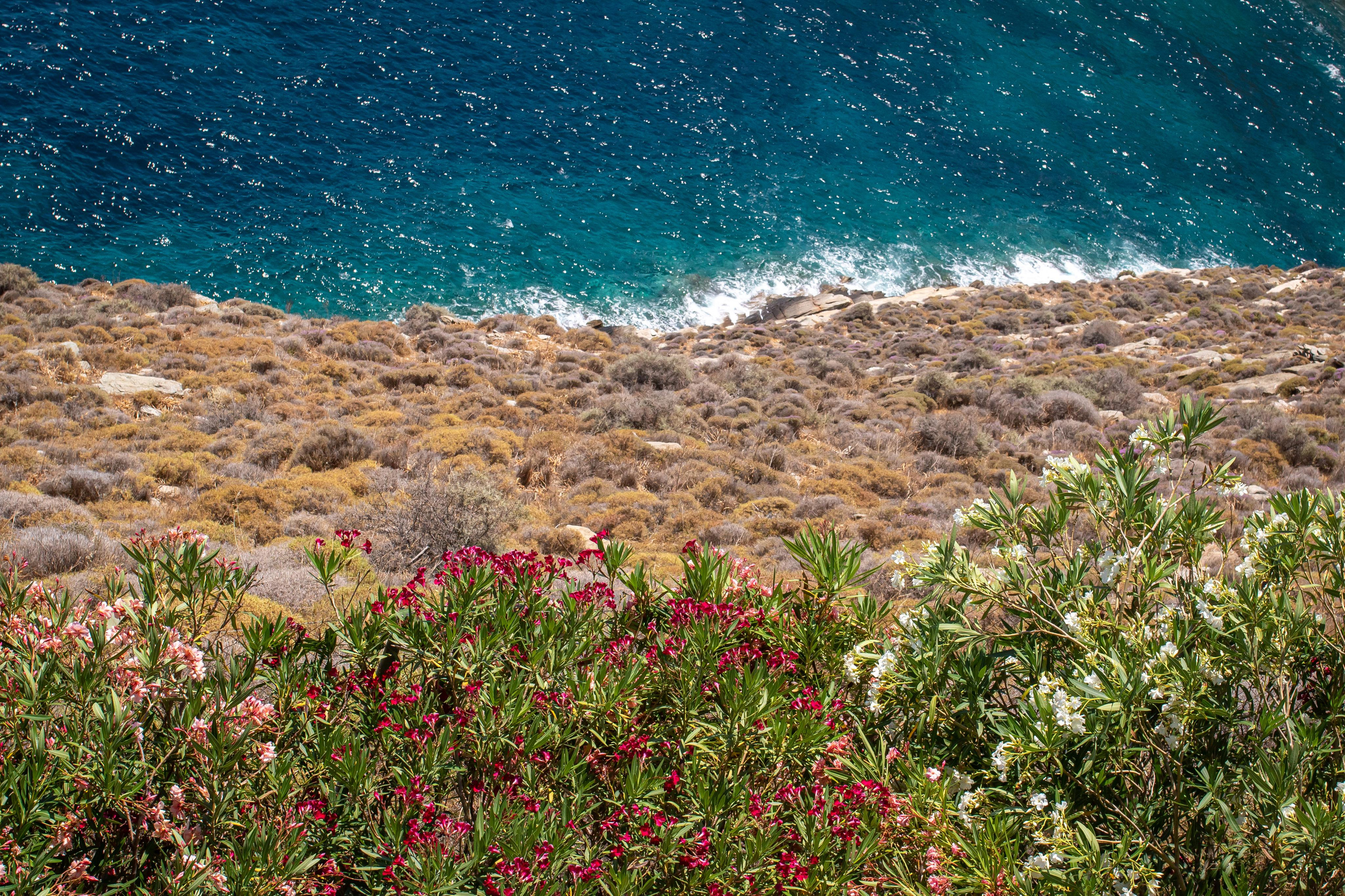 Kea Island. Family Photographer in Greece