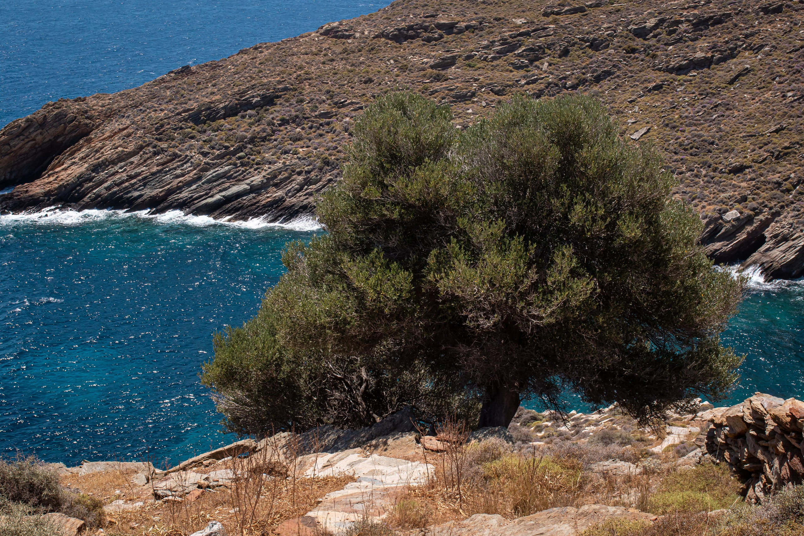 Kea Island. Family Photographer in Greece