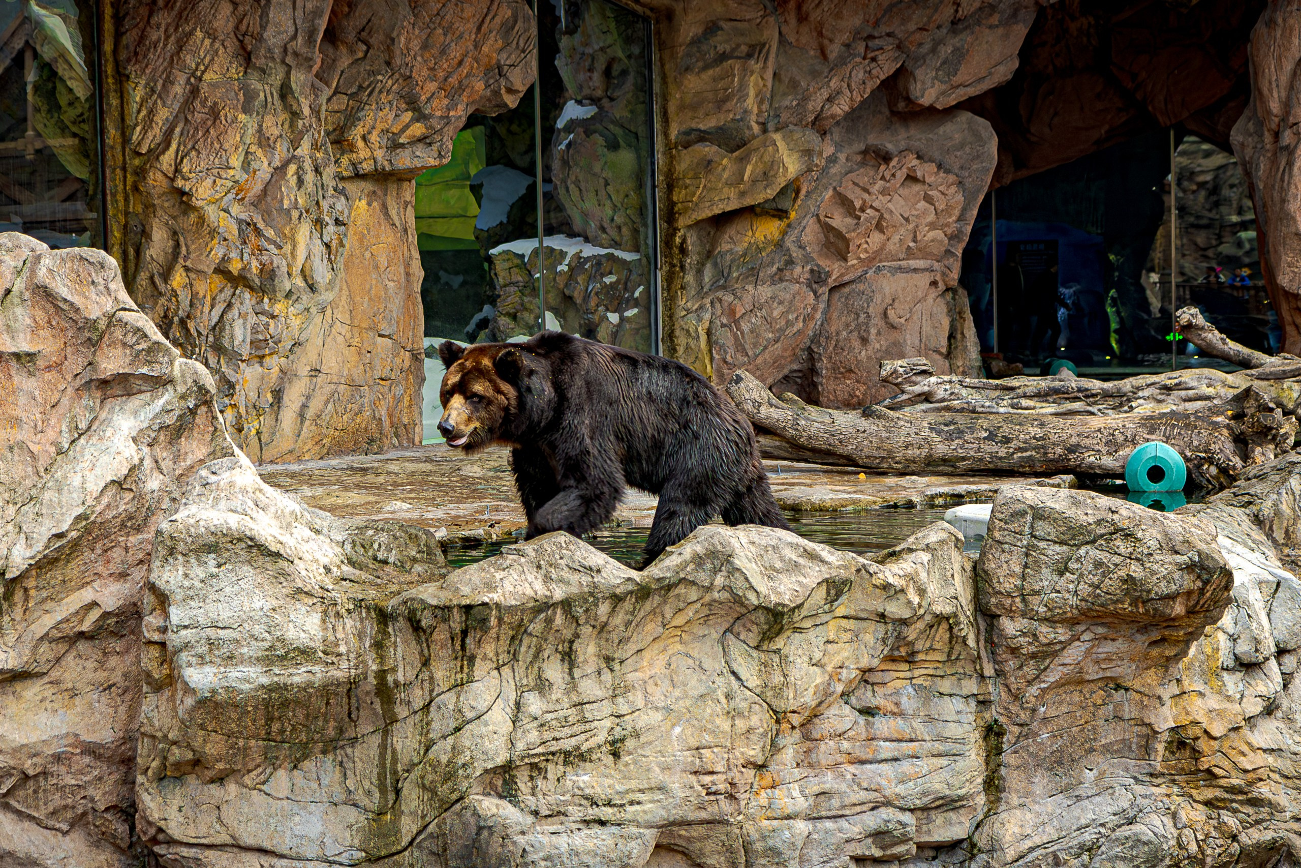 Дневной парад новогодняя версия