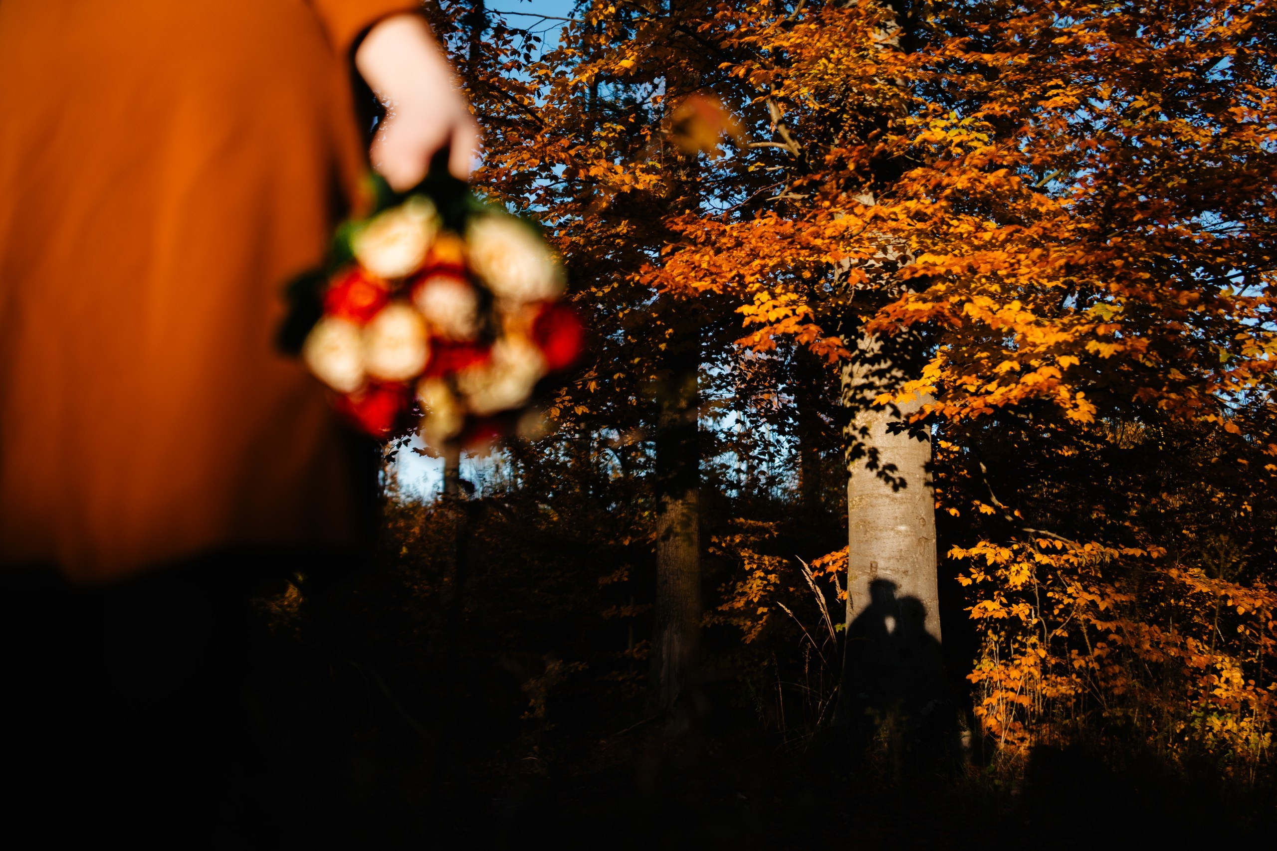 Magda + Daniel | Suceava. Foto-Video Nunta Iasi, Suceava, Bucuresti / Disponibilitate 2025 — 2026 — 2027