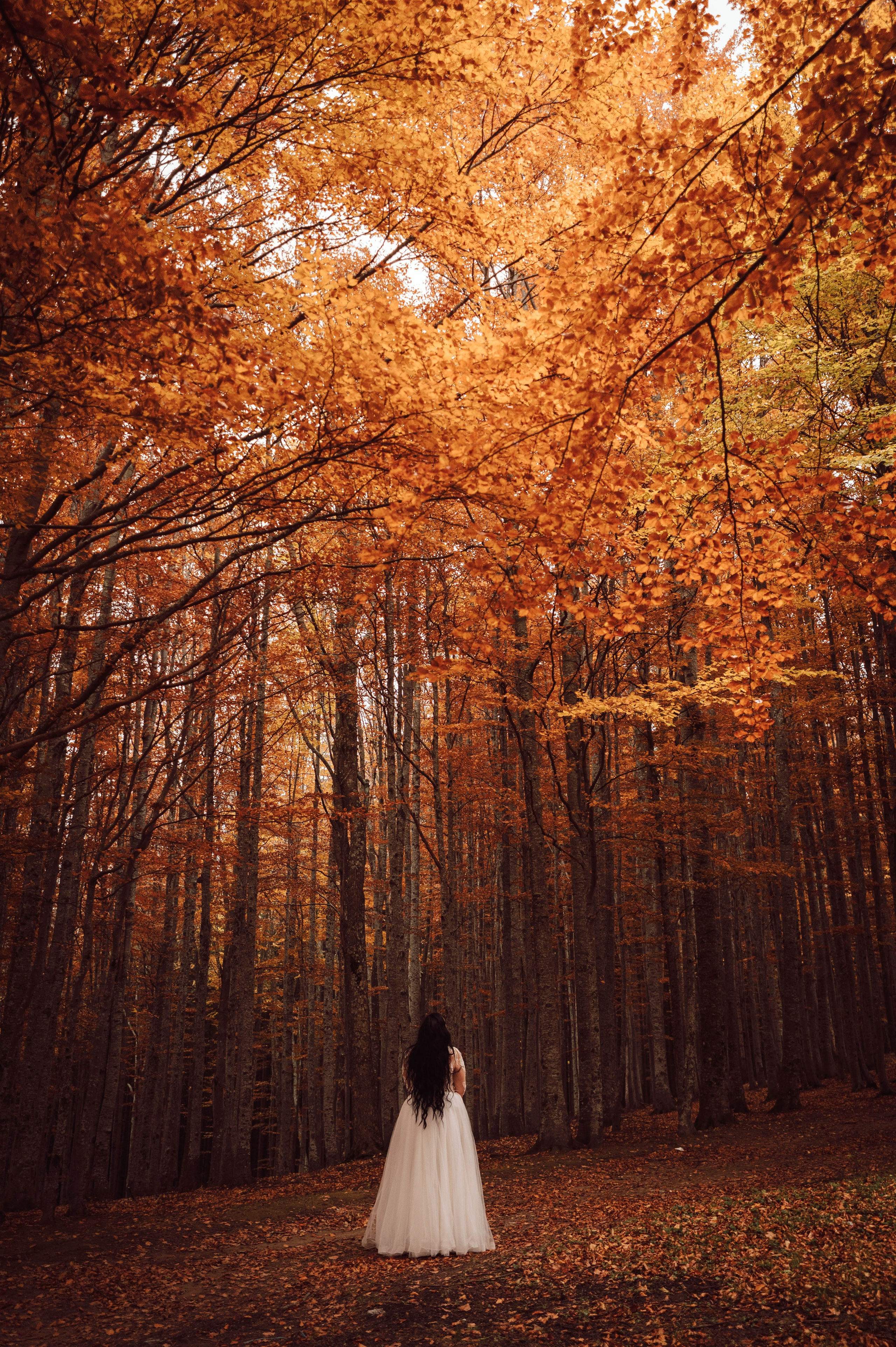 Catalina & Catalin. The Catalins Events — Wedding Photography & Videography