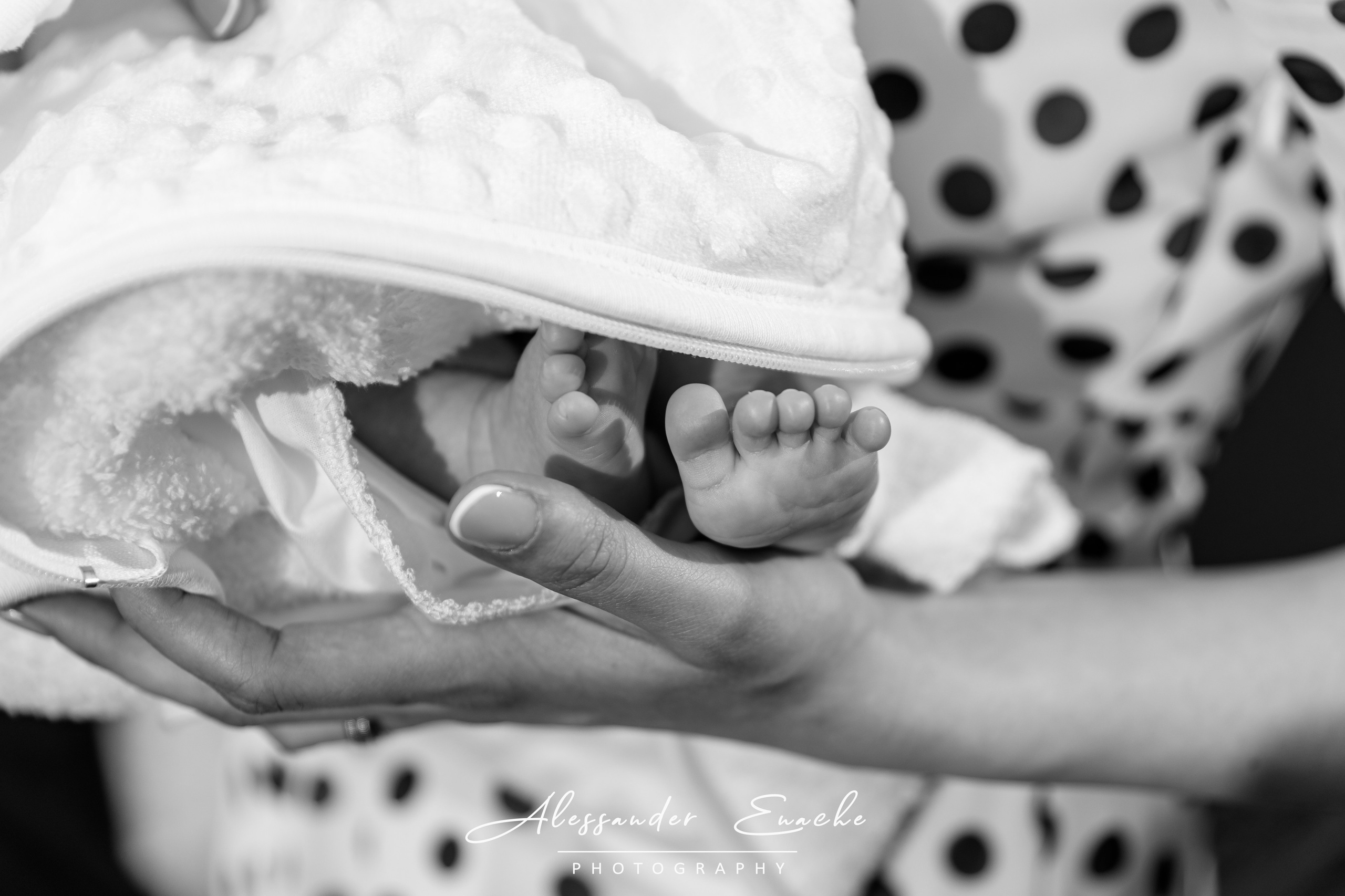 Luca Alexandru. Fotograf prin #Piatraneamt-Alessander Enache