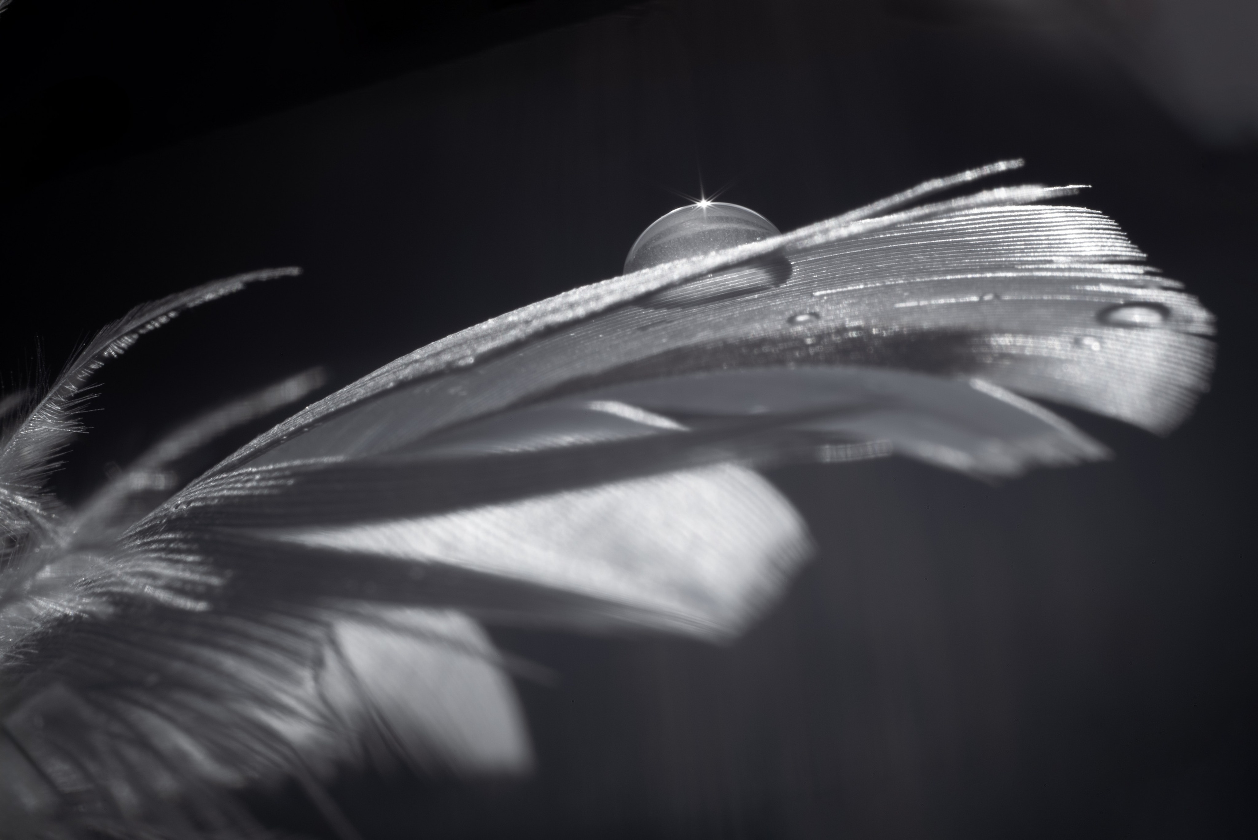 AMORE AL ARTE. Schwarz-weiß Fotografie in Münster. Fotografin Viktoria Roschen