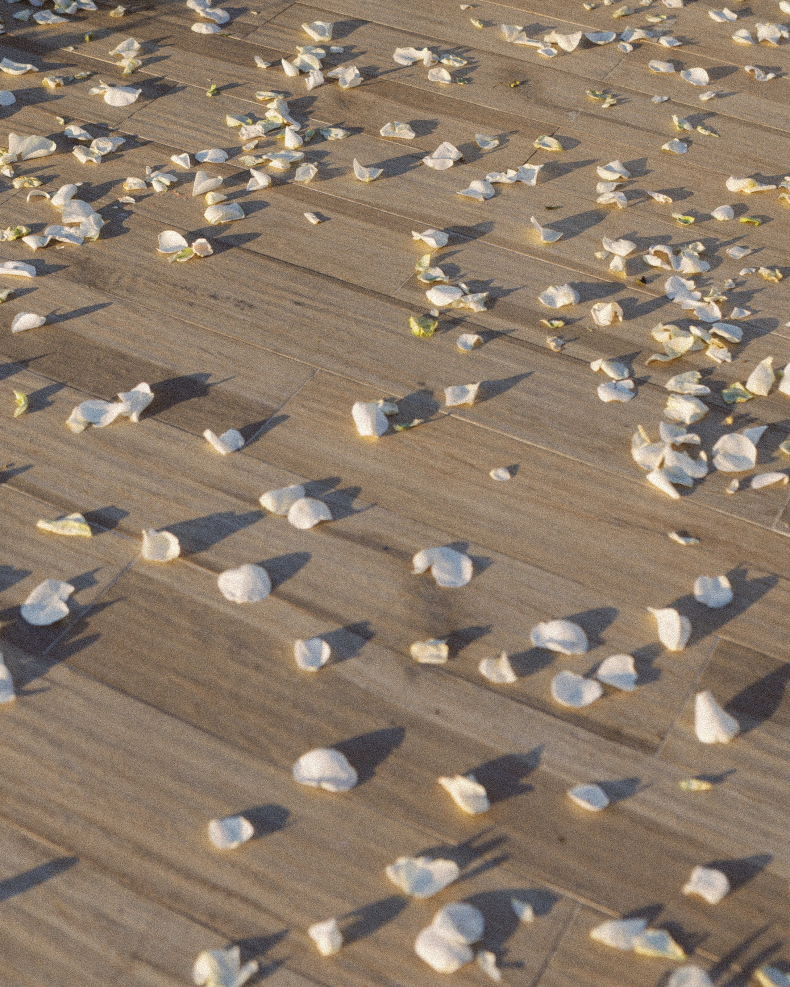 Morgan & John. Sayulita Wedding Photographer, Puerto Vallarta, Cabo