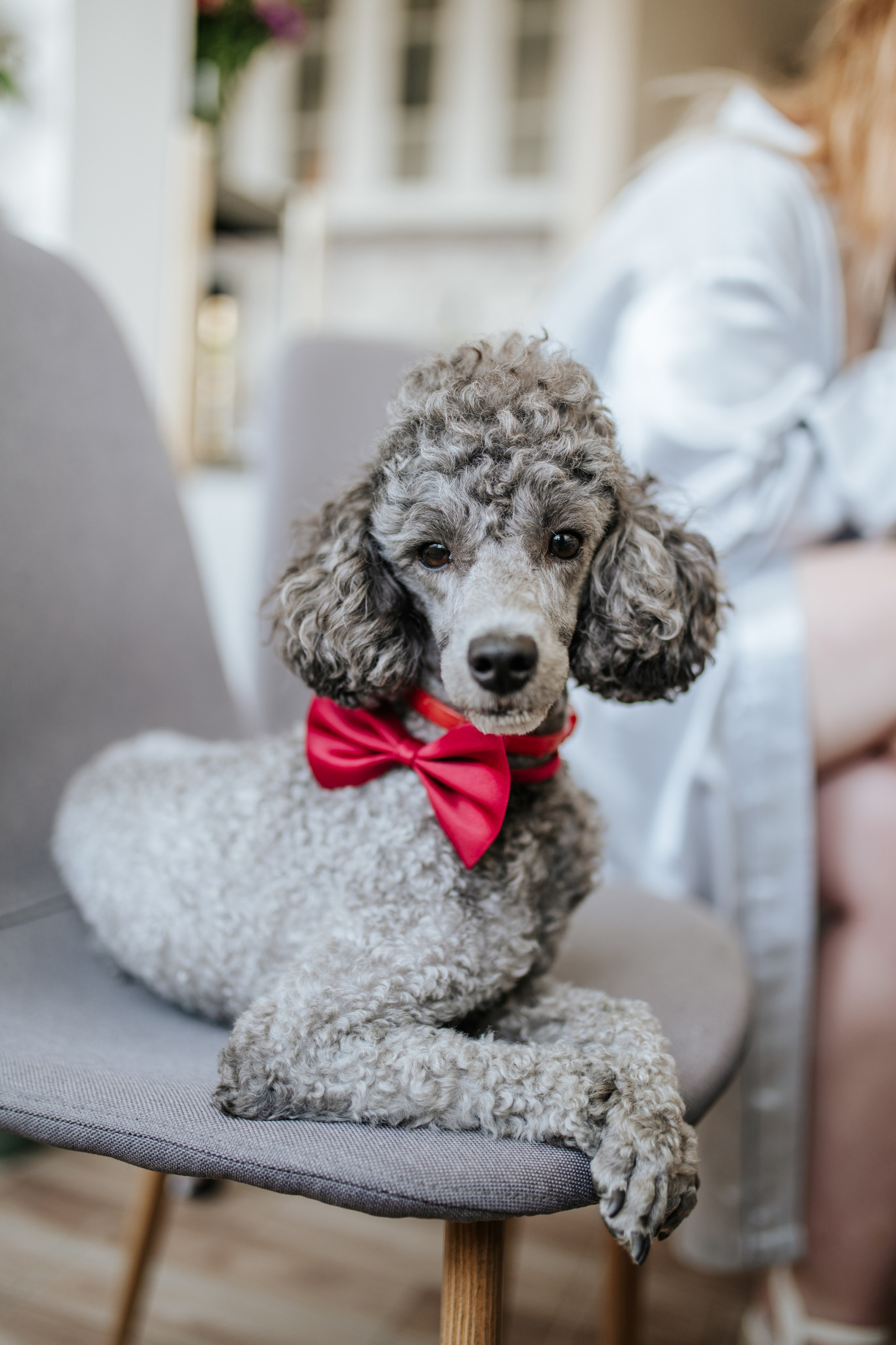 Венчања. Luka Pejcic Photography