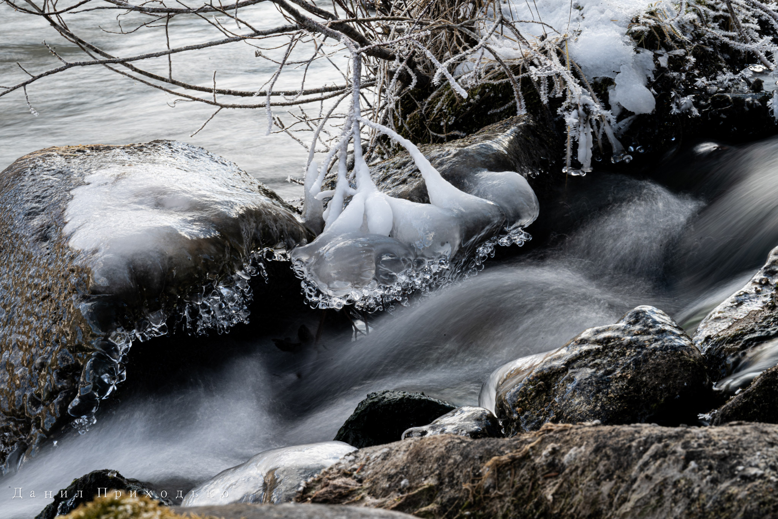 Danil Prikhodko Photography