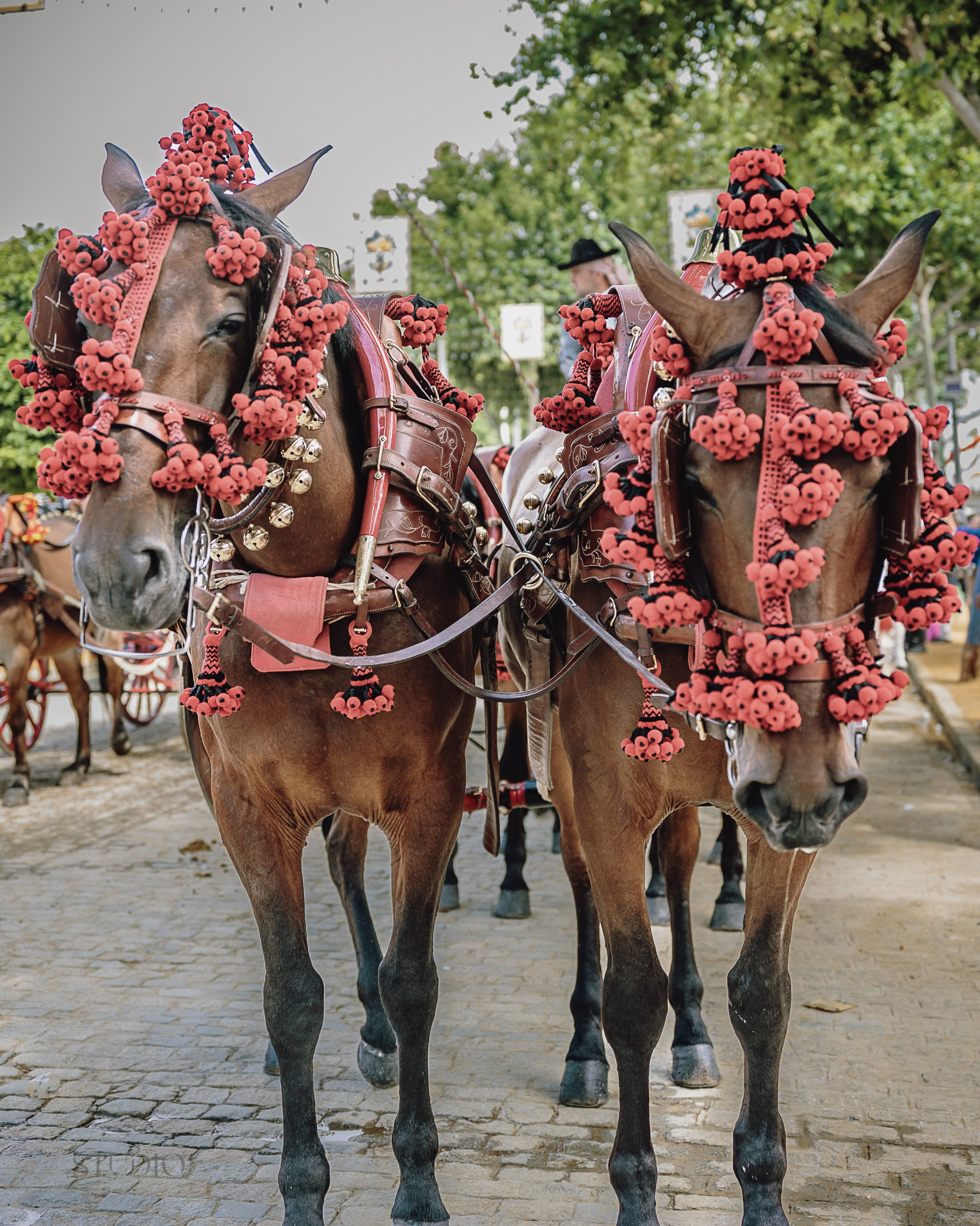 Sesión de fotos en feria de Abril de Sevilla. Inicio