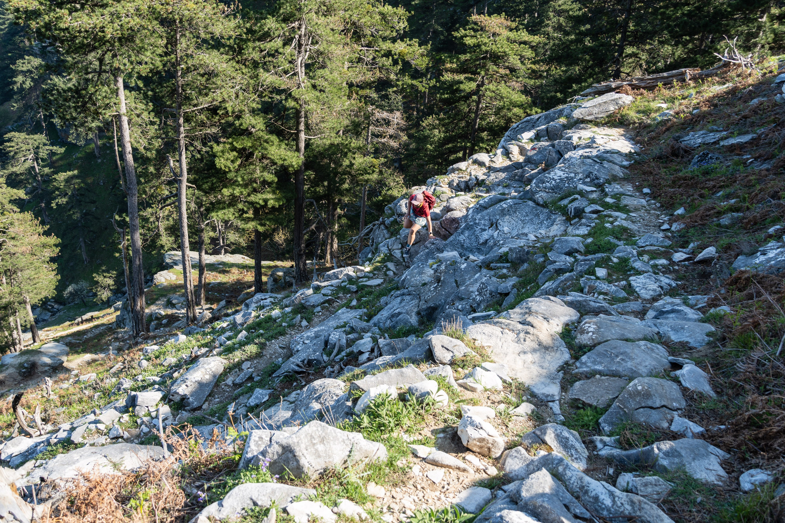 Thasos 2025. Fotografiideplacere.net