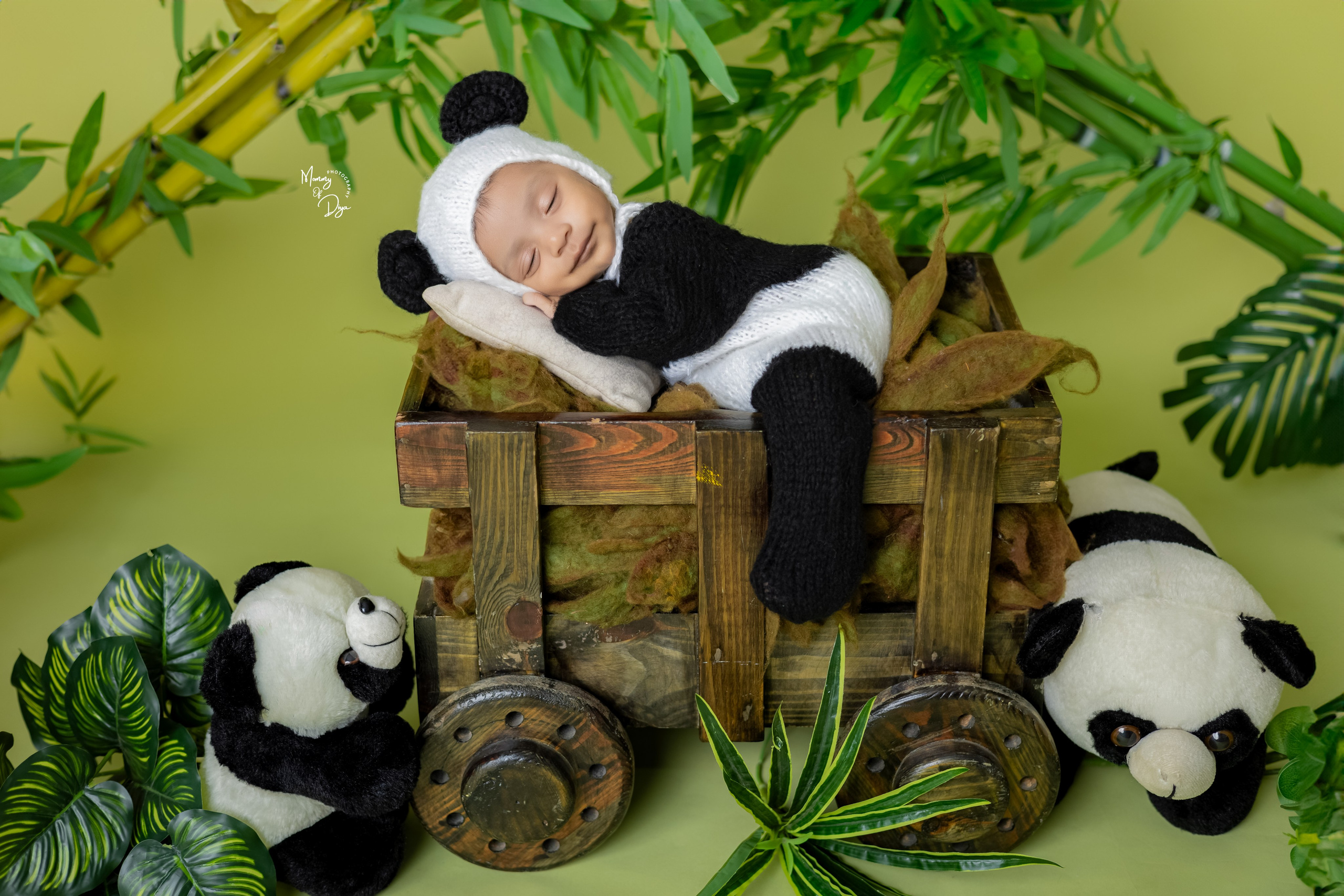 Newborn Photoshoot. Mommy Of Diya Photography