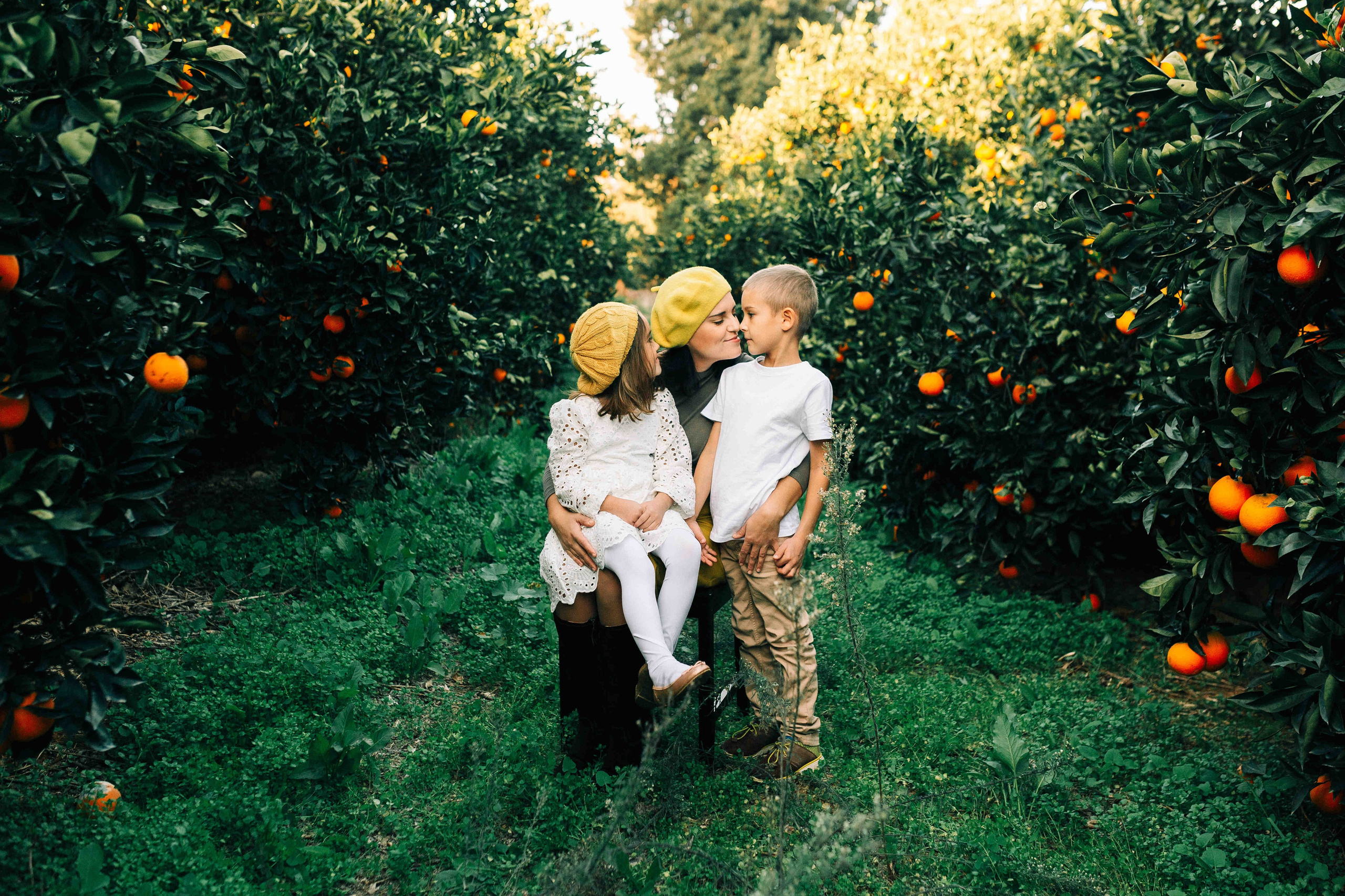 MANDARNINE GARDEN. Https://shi-photo.com/