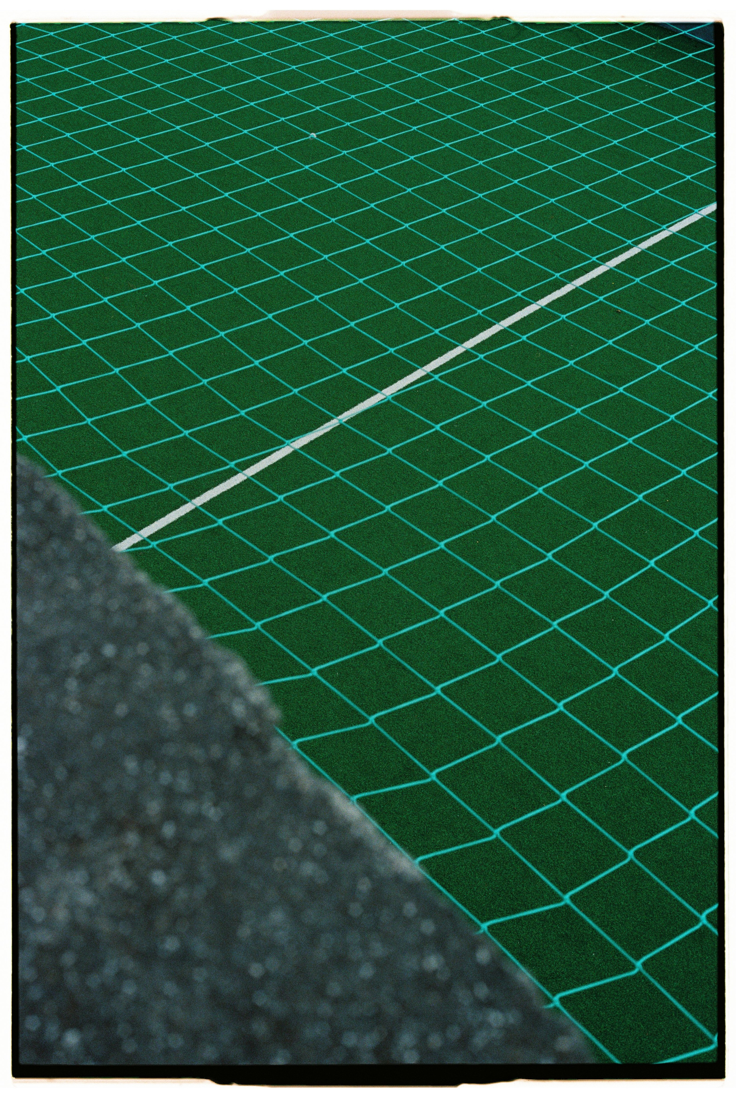 Madeira on film. Portrait photographer in Madeira — Marina Shtukina