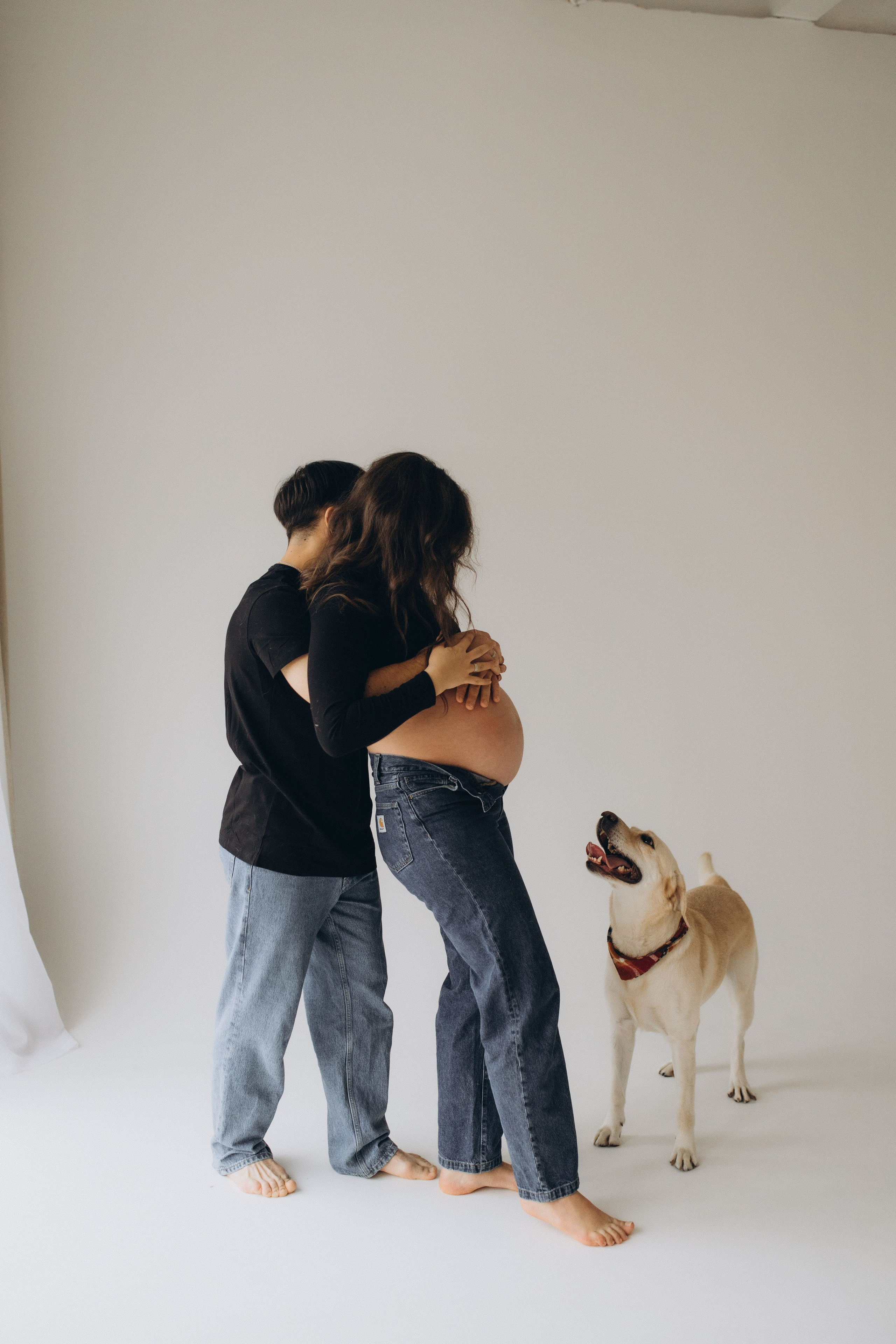 Pregnant Story. Main