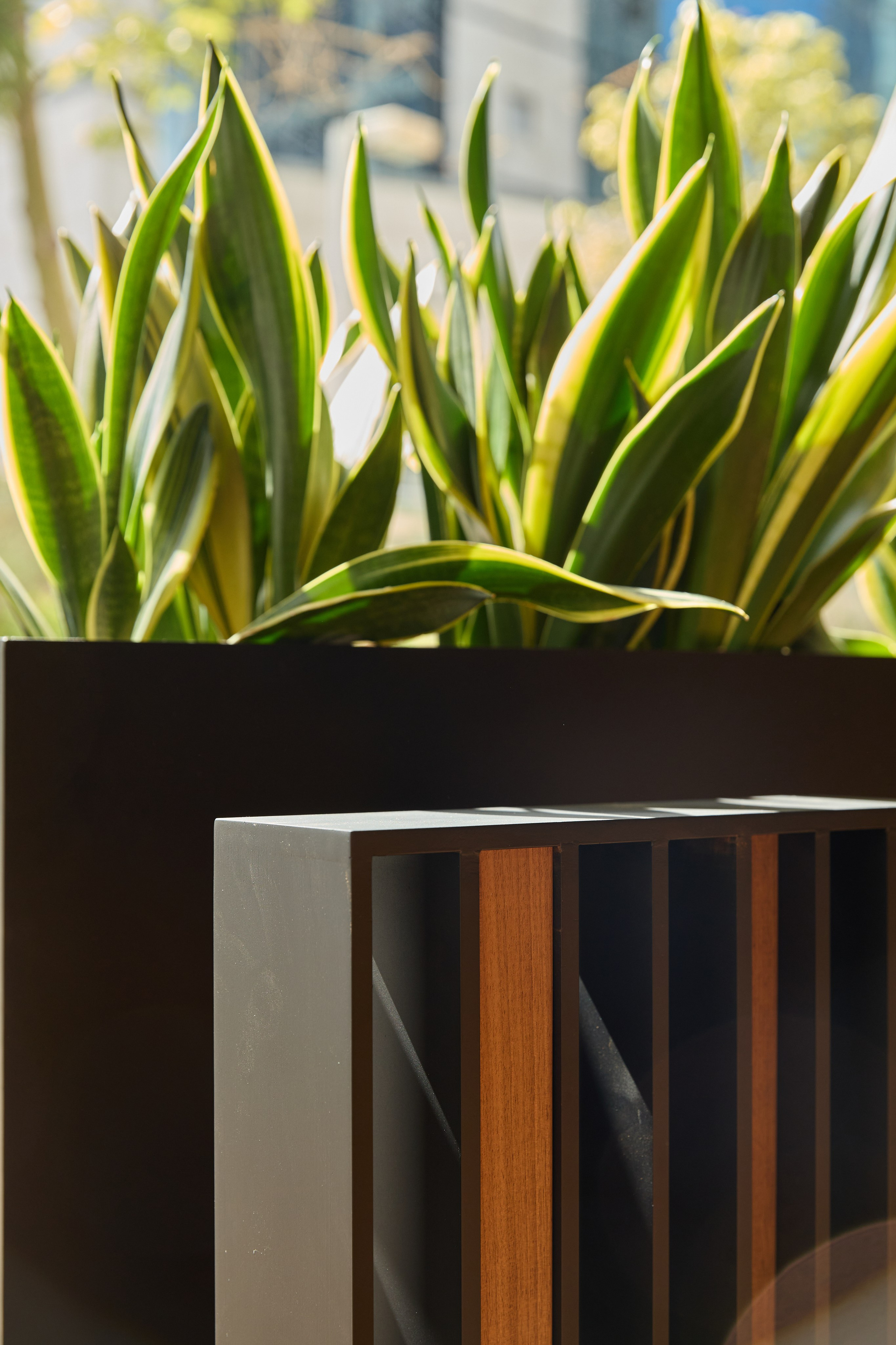 Adis Arcon Office. Интерьерный фотограф и видеограф Израиль